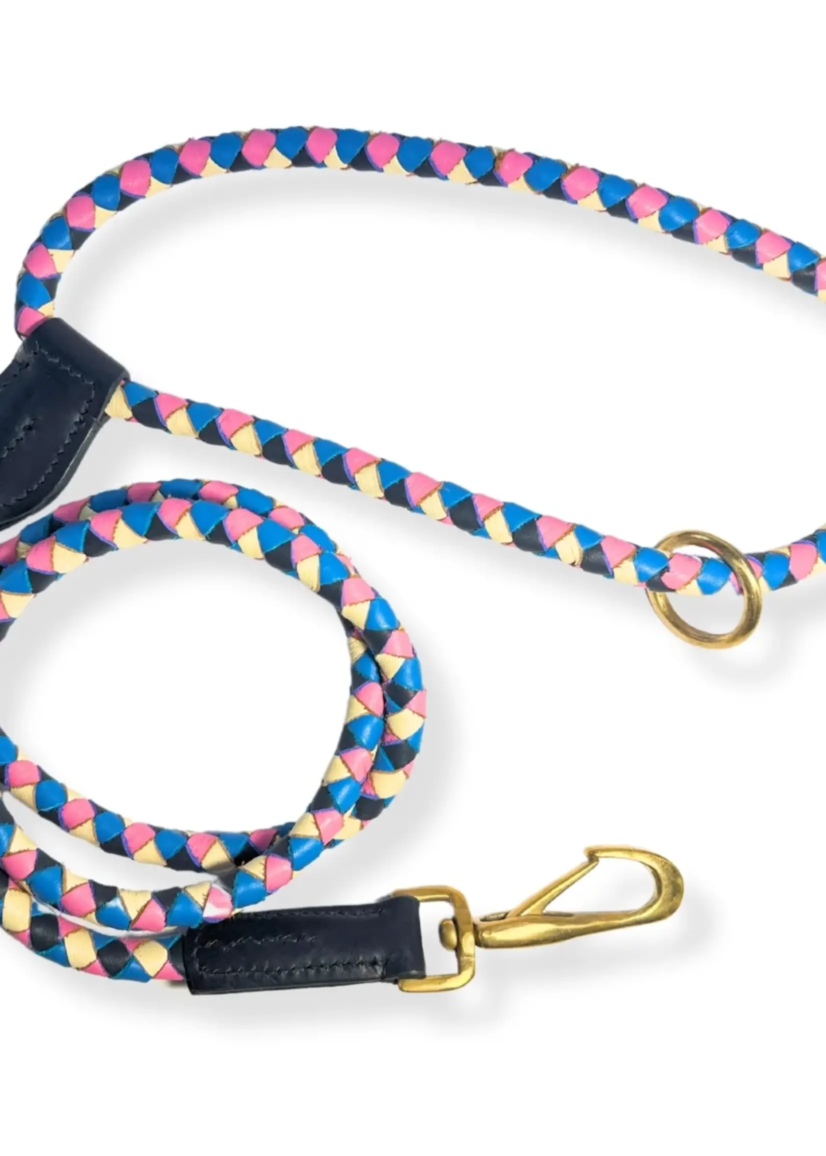 Georgie Paws Beach Lead