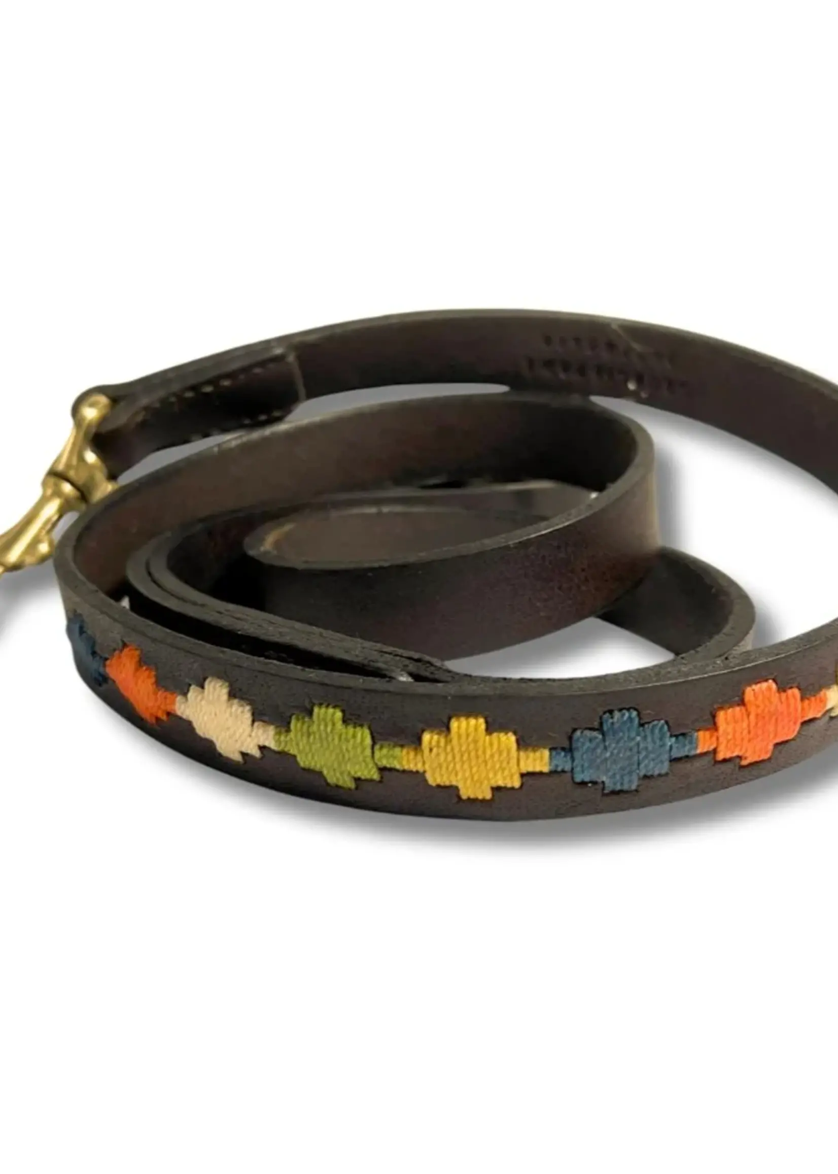 Georgie Paws Polo Lead - Arvo