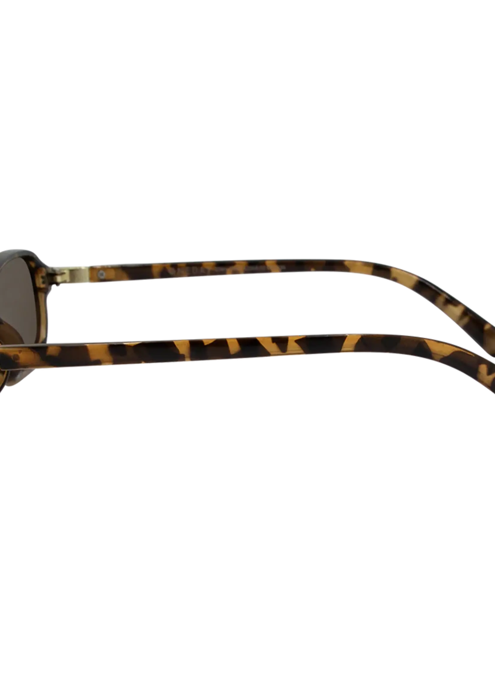 One Day Ellery Sunglasses - Tort Brown