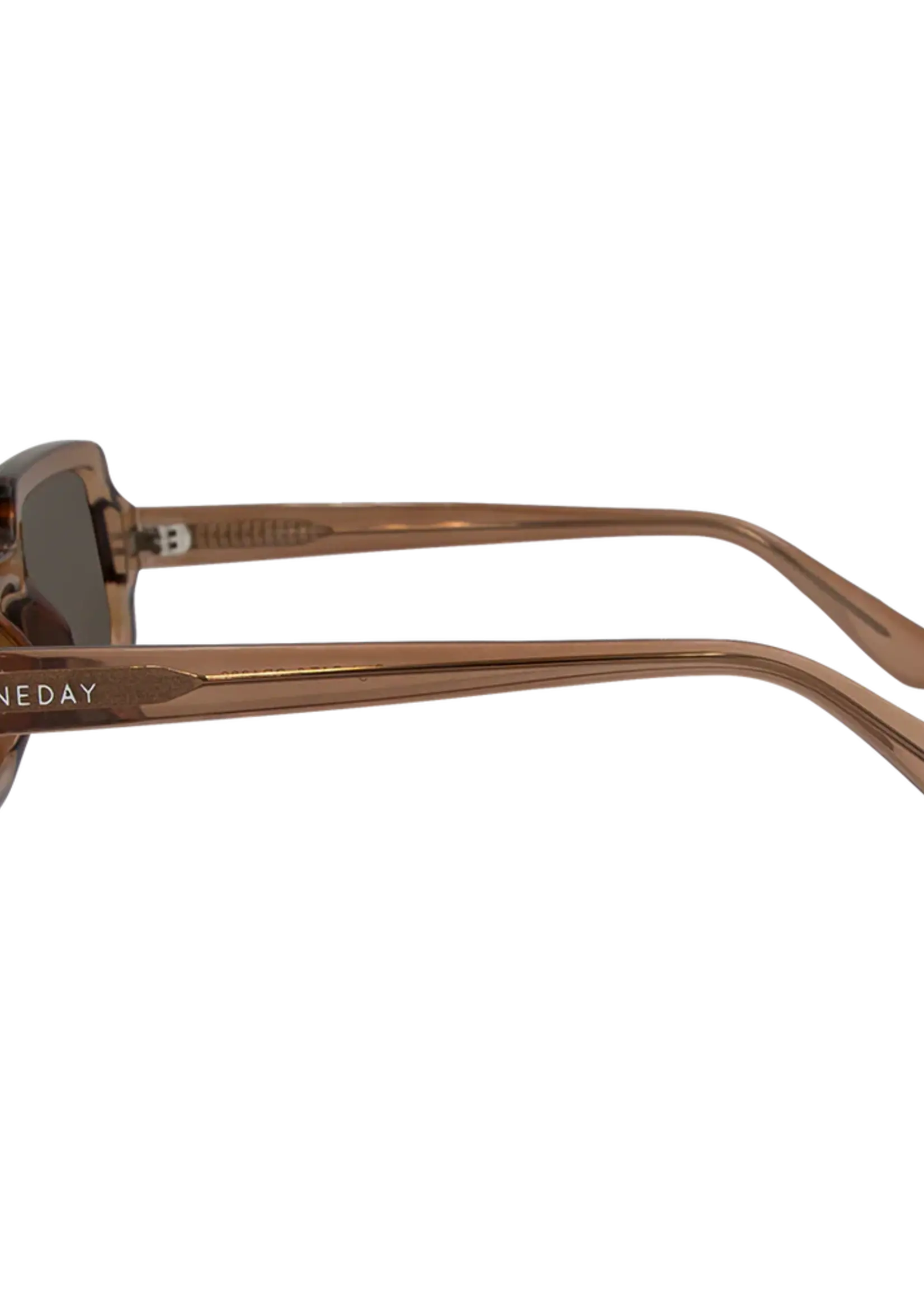 One Day Gigi Sunglasses - Brown Brown