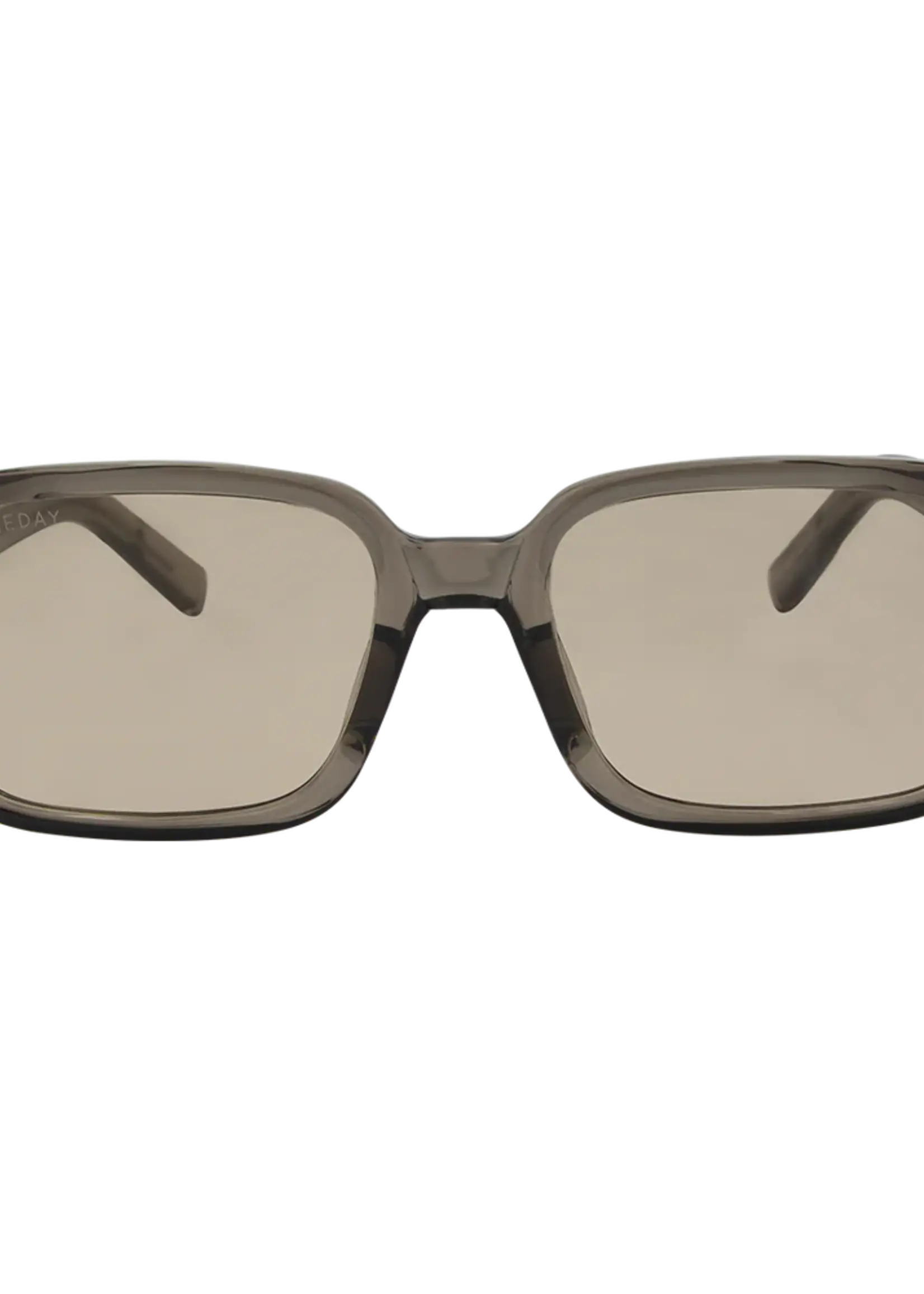 One Day Chloe Sunglasses - Olive Brown