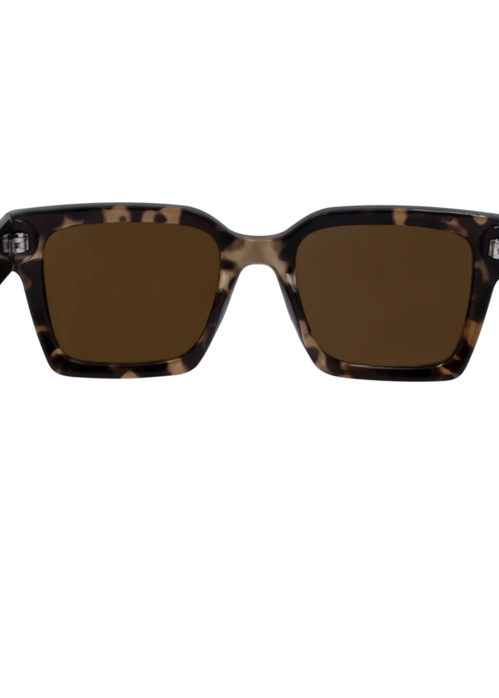 One Day Rhodes Sunglasses - Tortoise Brown