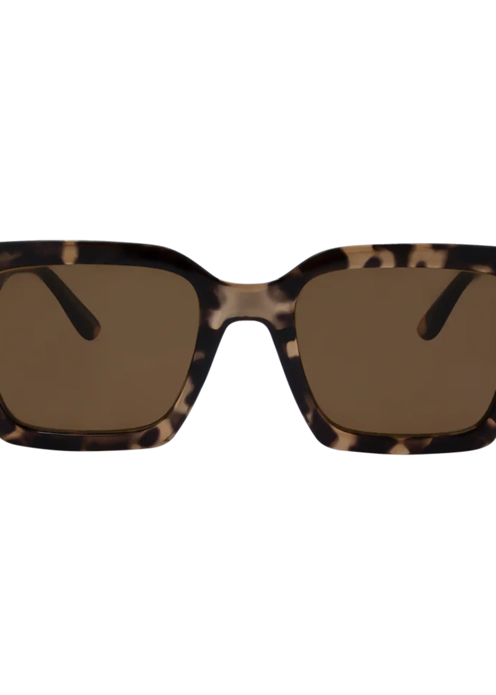 One Day Rhodes Sunglasses - Tortoise Brown