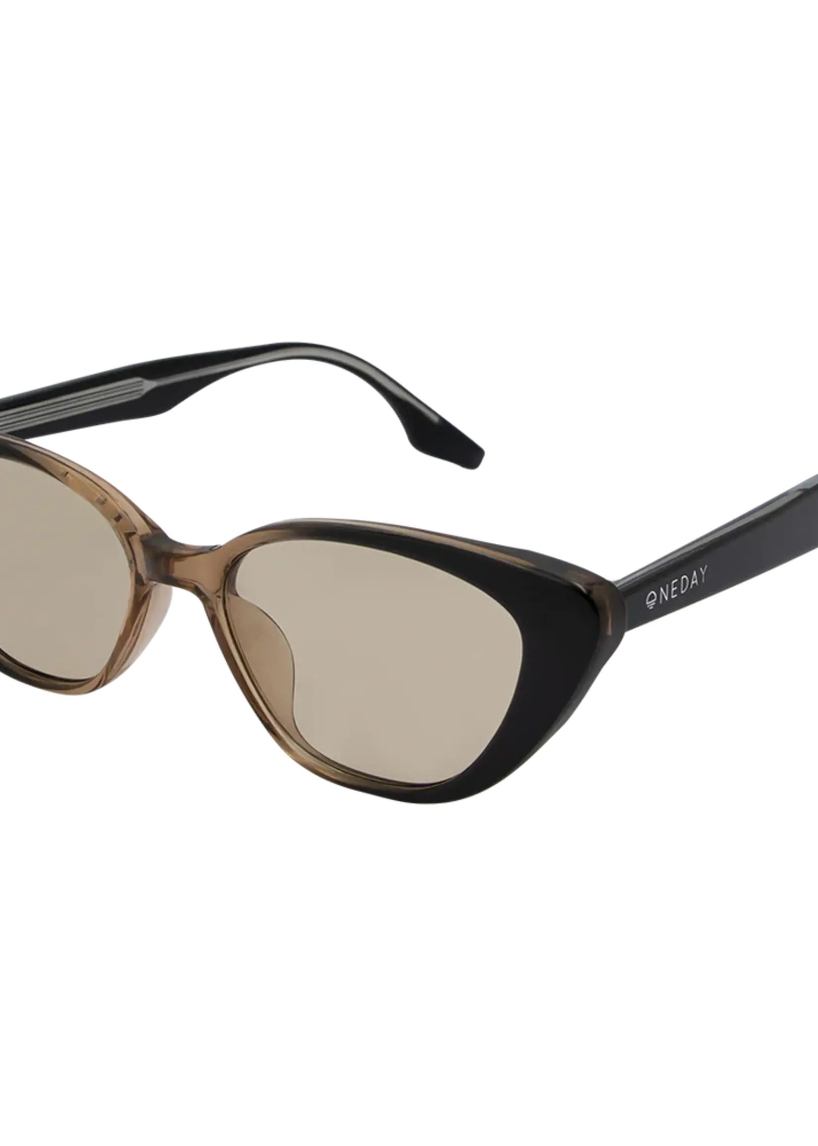 One Day Celine Sunglasses - Black to Brown