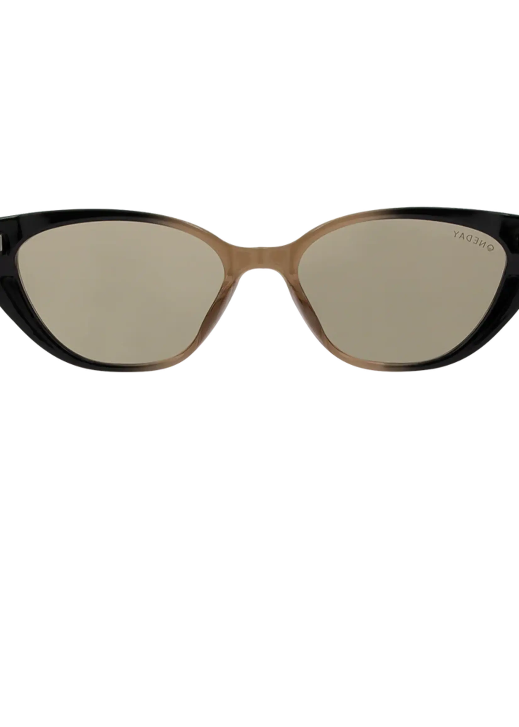 One Day Celine Sunglasses - Black to Brown