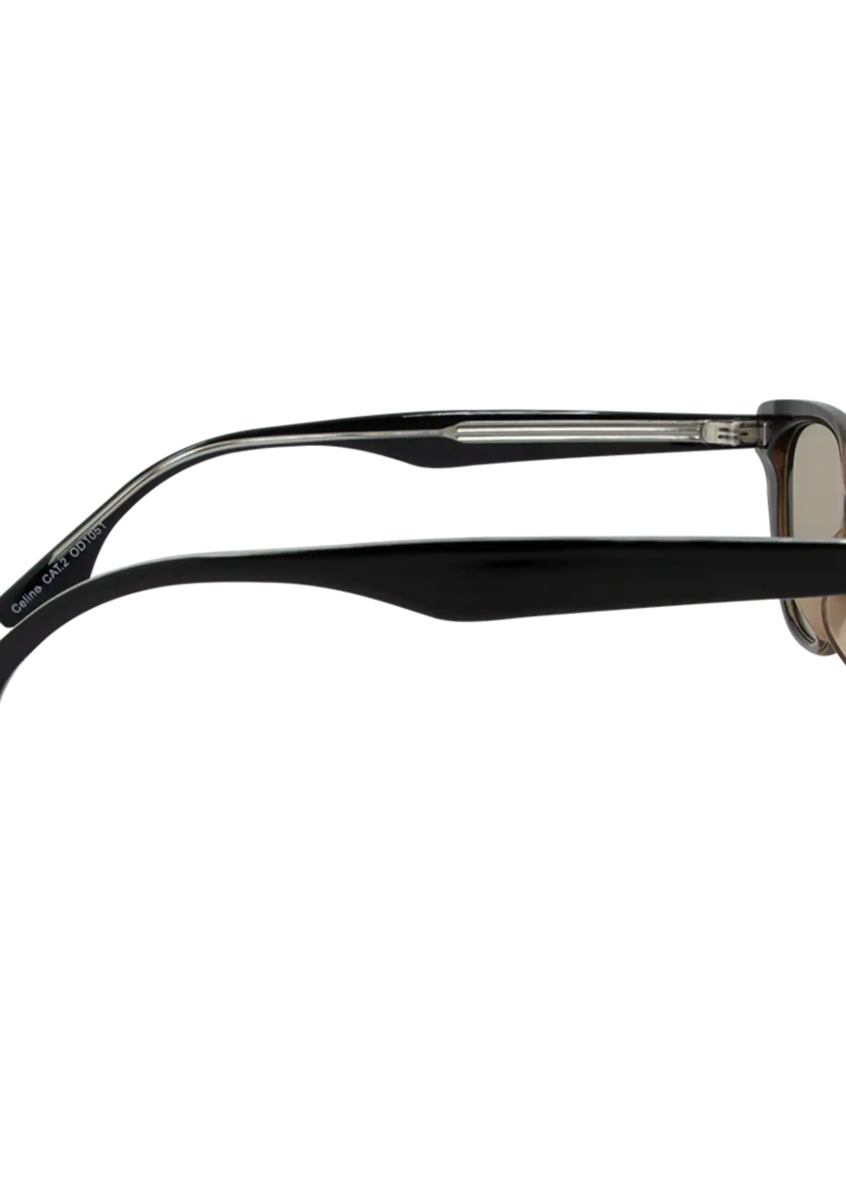 One Day Celine Sunglasses - Black to Brown