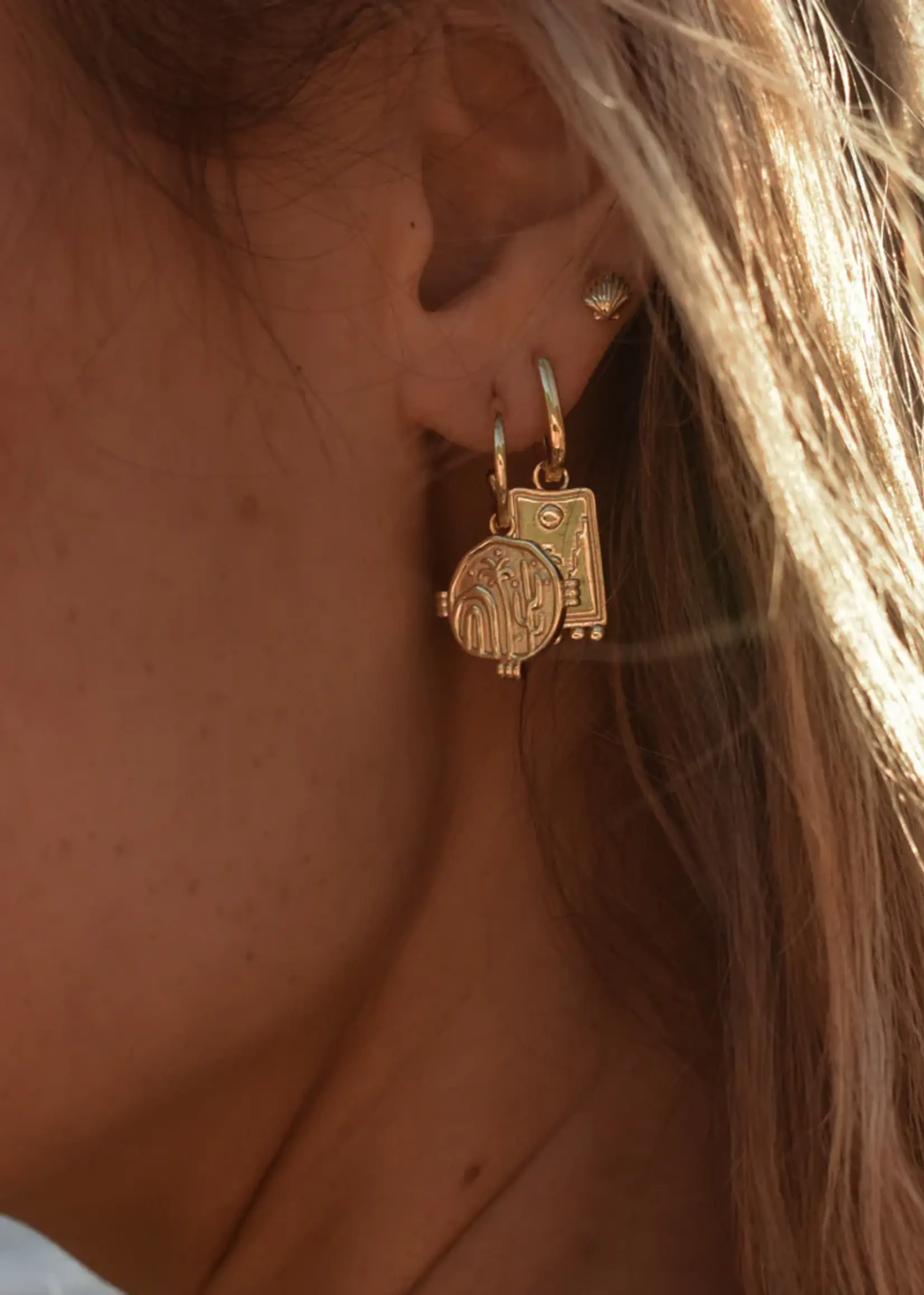 Lion Wild Desert Dreamer Earrings