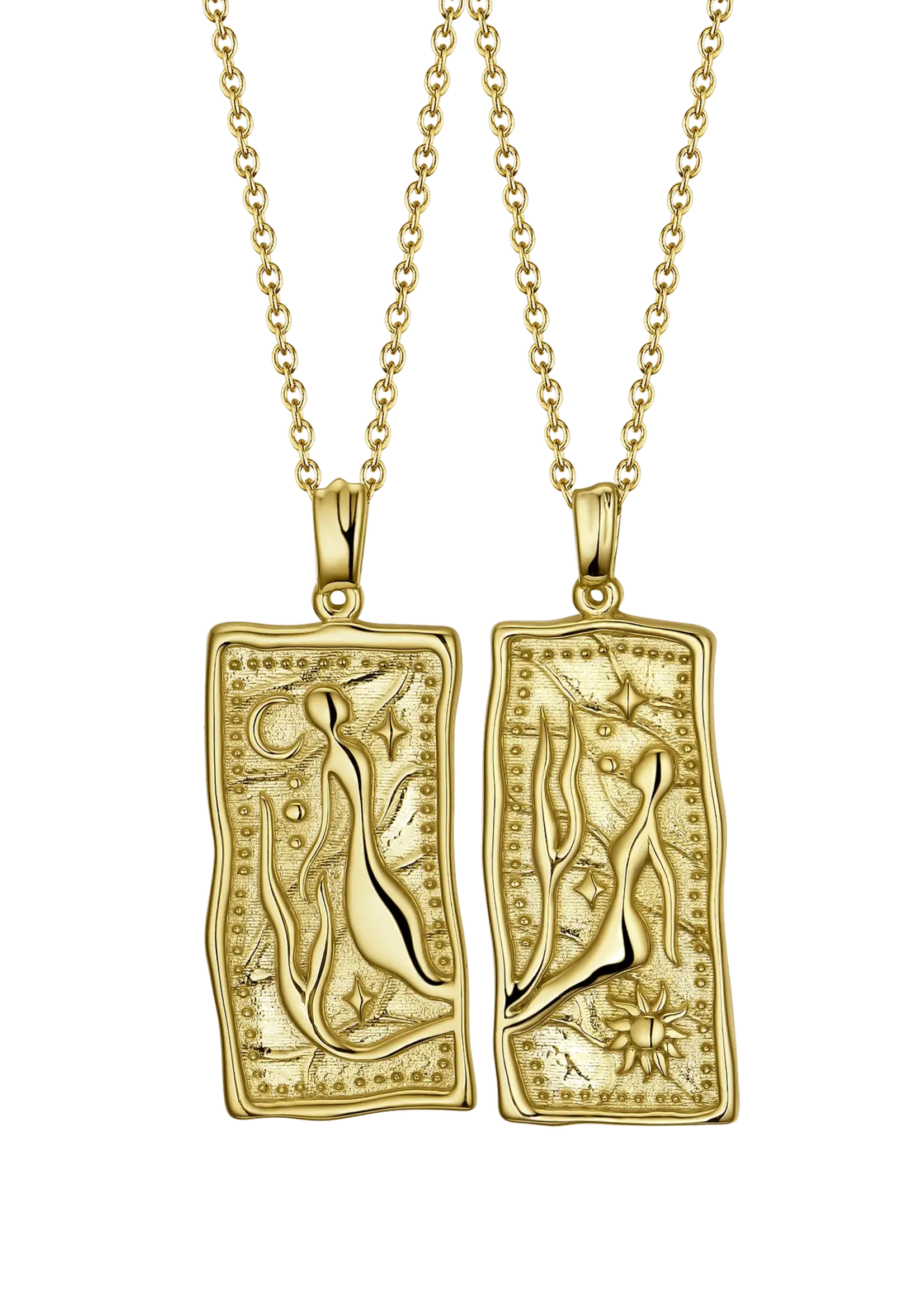 Lion Wild Best Friend Necklaces - Pair