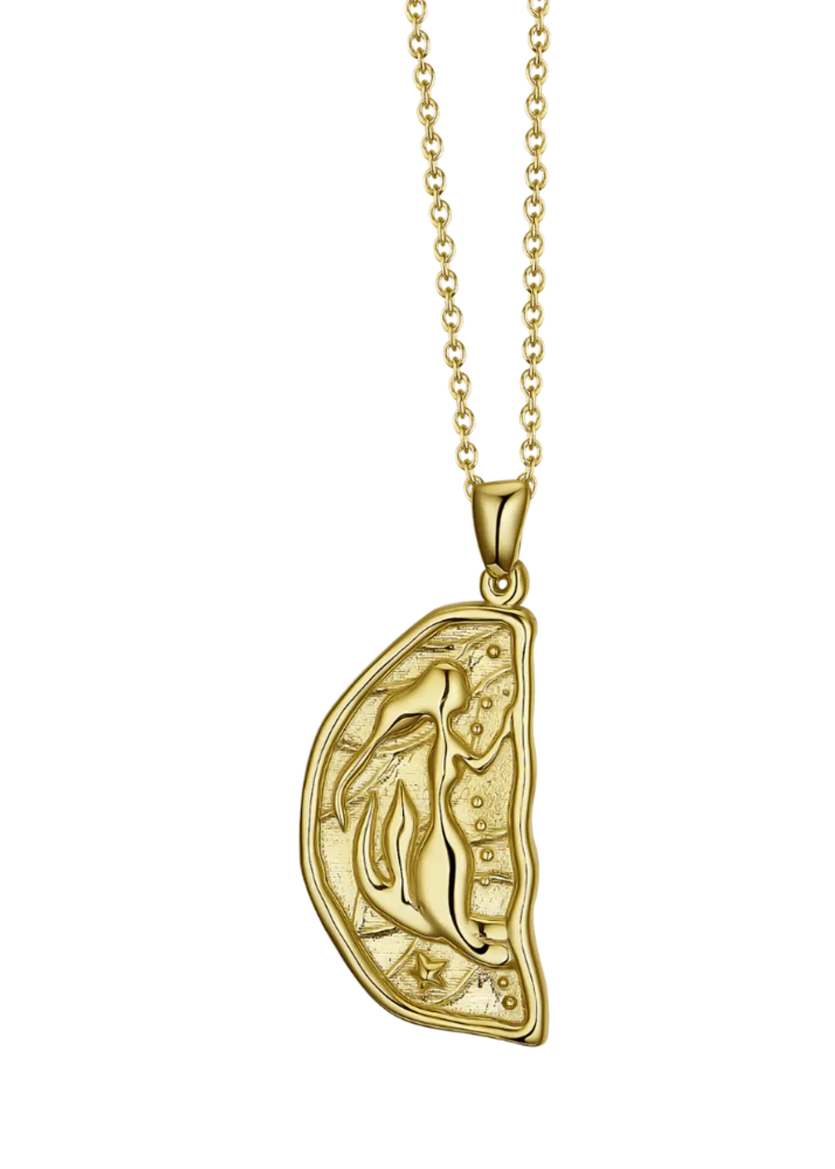 Lion Wild Sister Necklaces - Pair