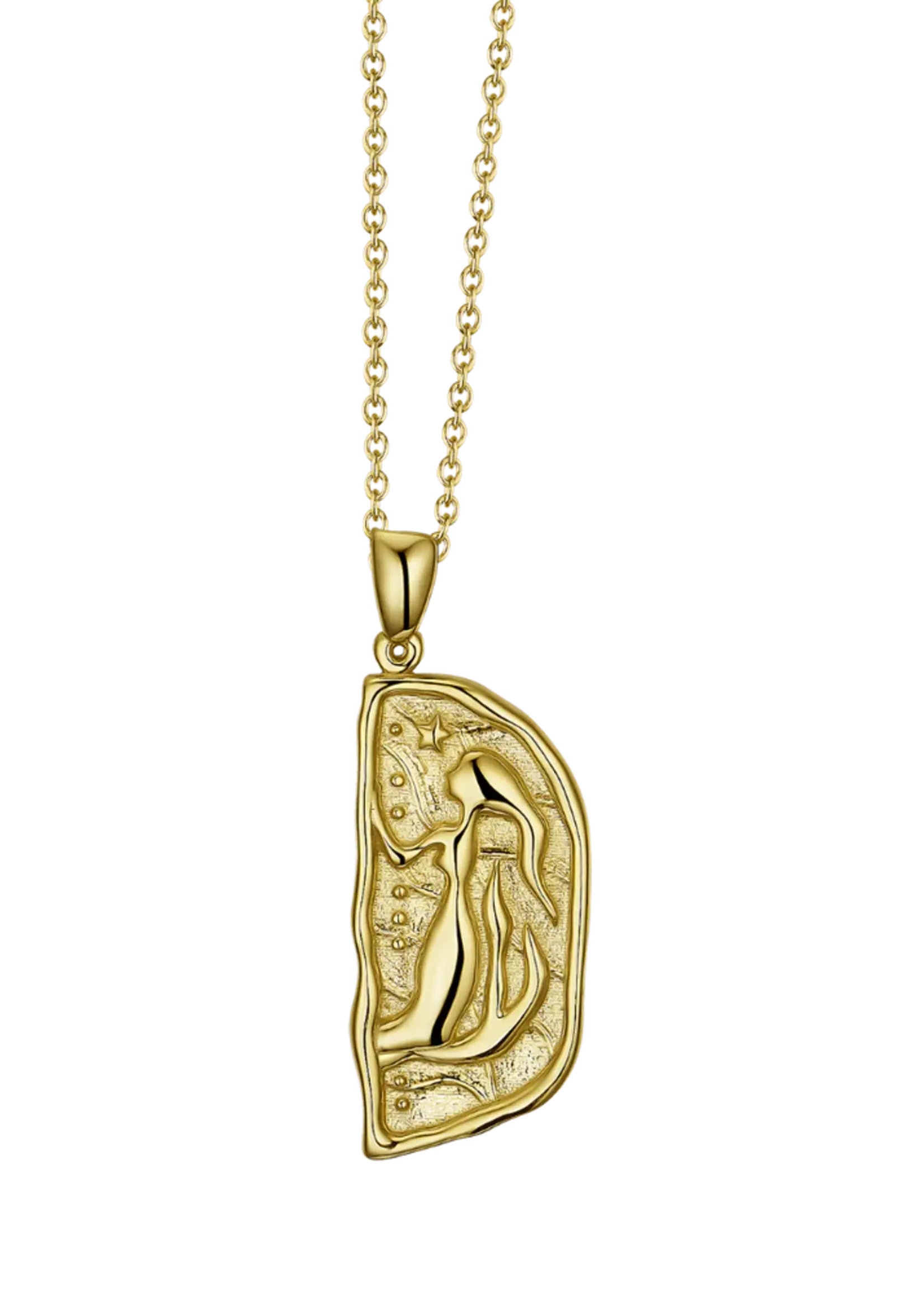 Lion Wild Sister Necklaces - Pair