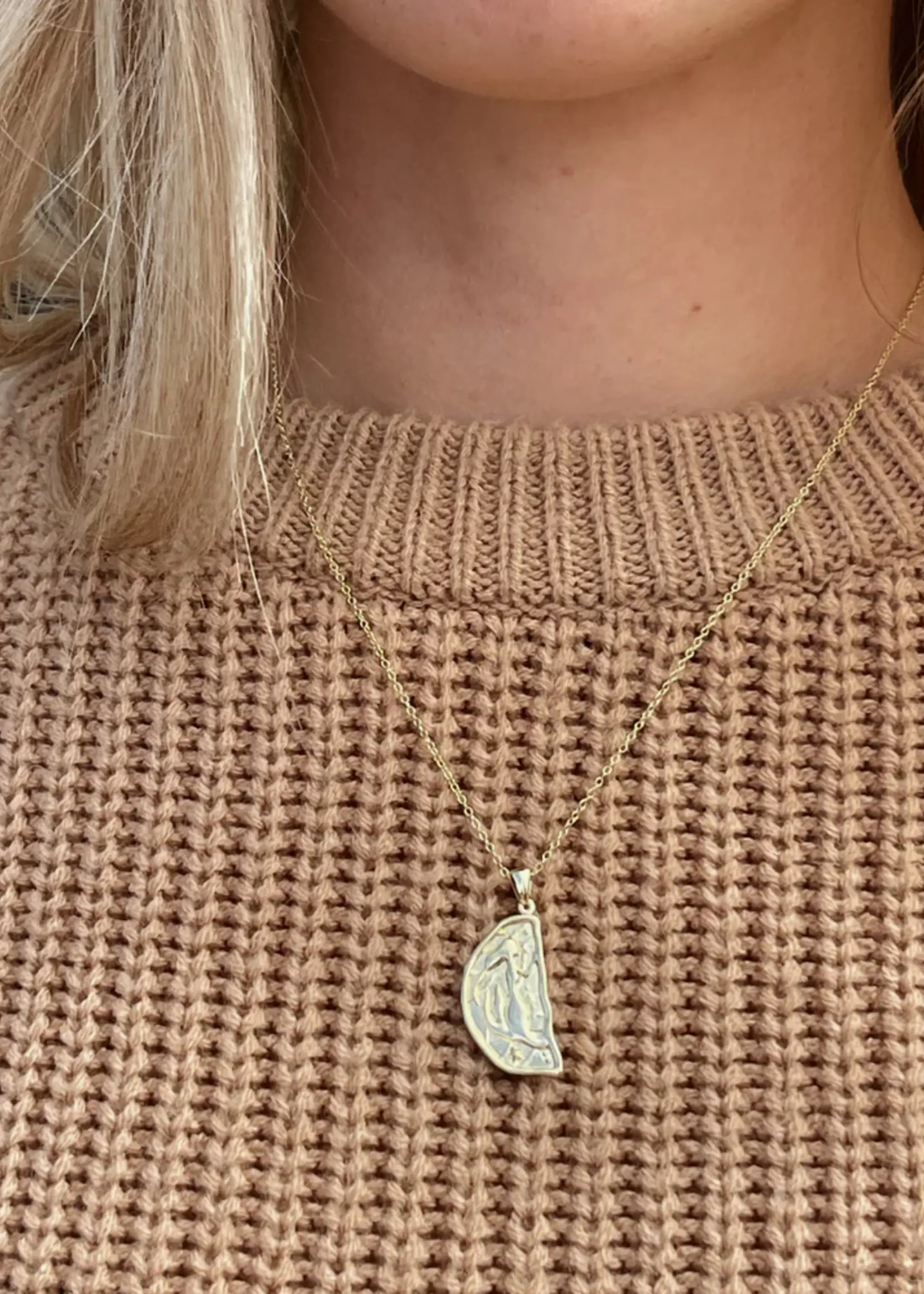 Lion Wild Sister Necklaces - Pair