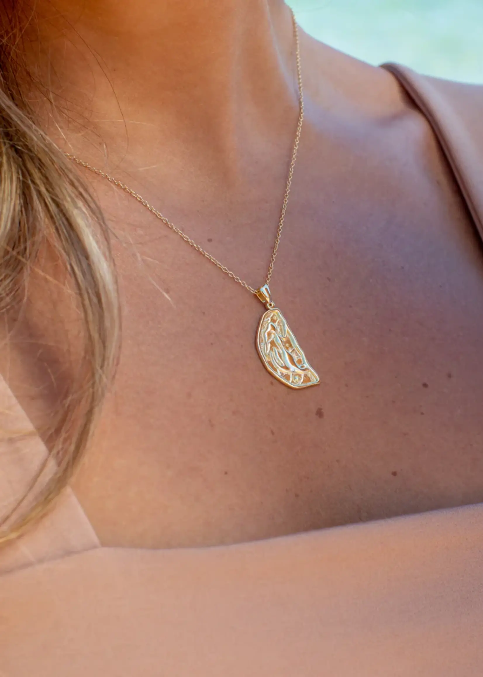 Lion Wild Sister Necklaces - Pair