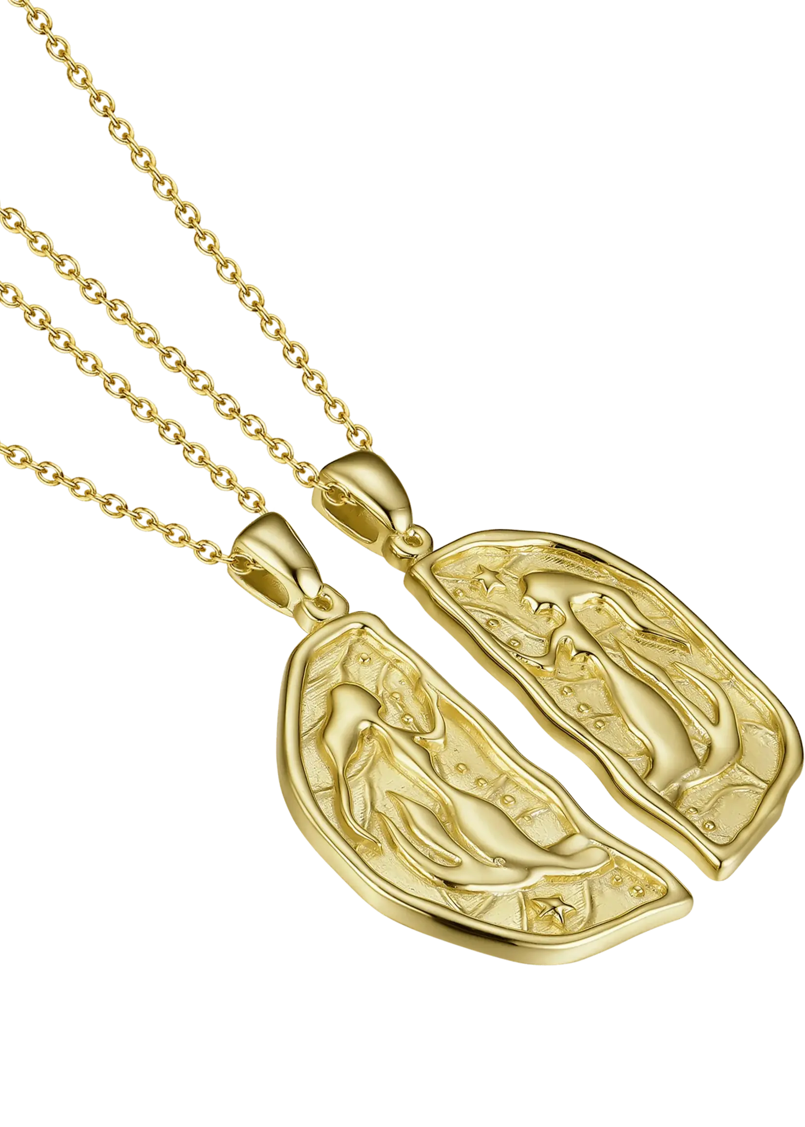 Lion Wild Sister Necklaces - Pair