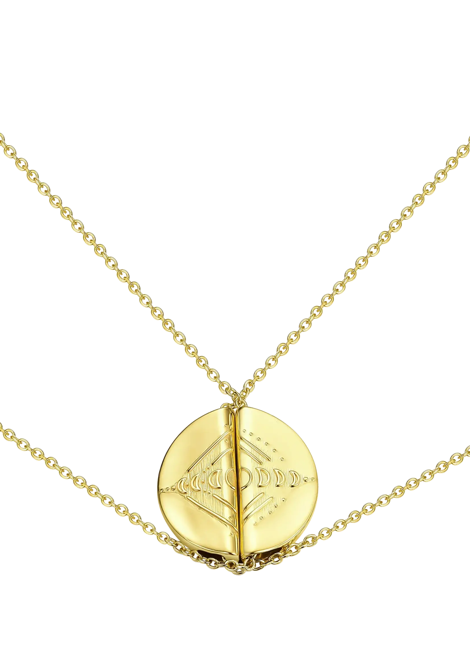 Lion Wild Growth Necklaces - Pair