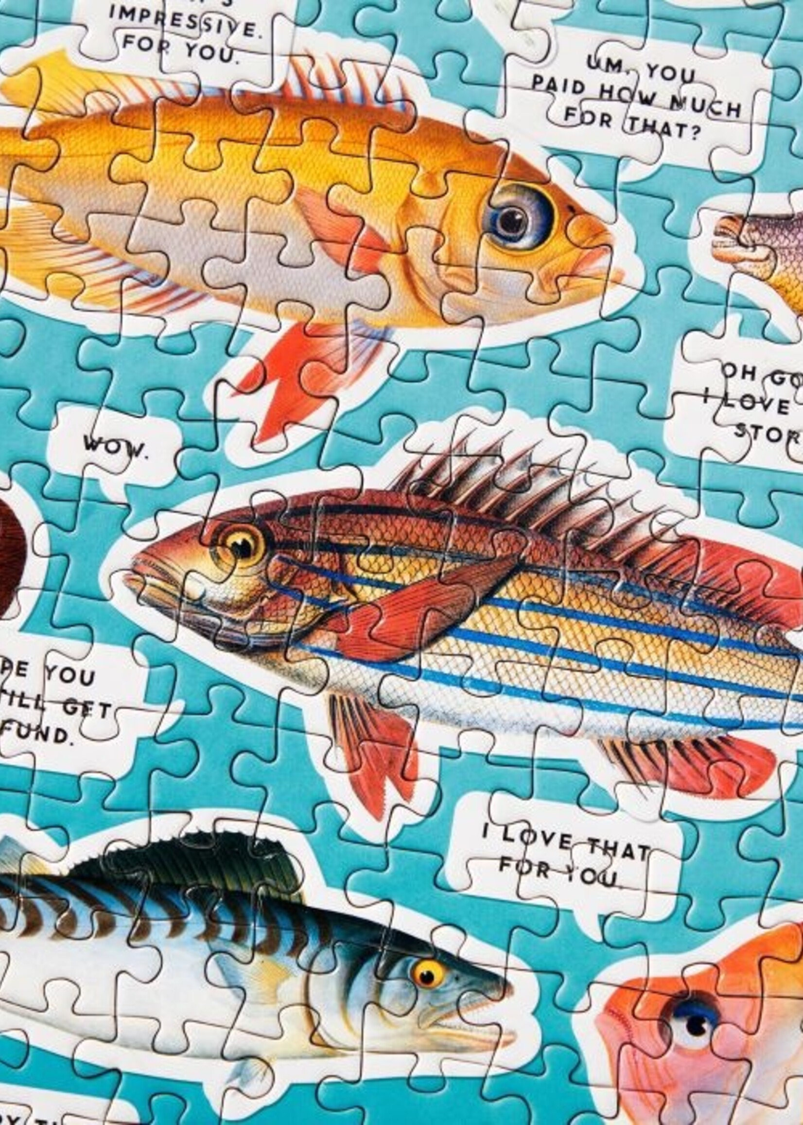 Judgy Fish Puzzle 1000pc