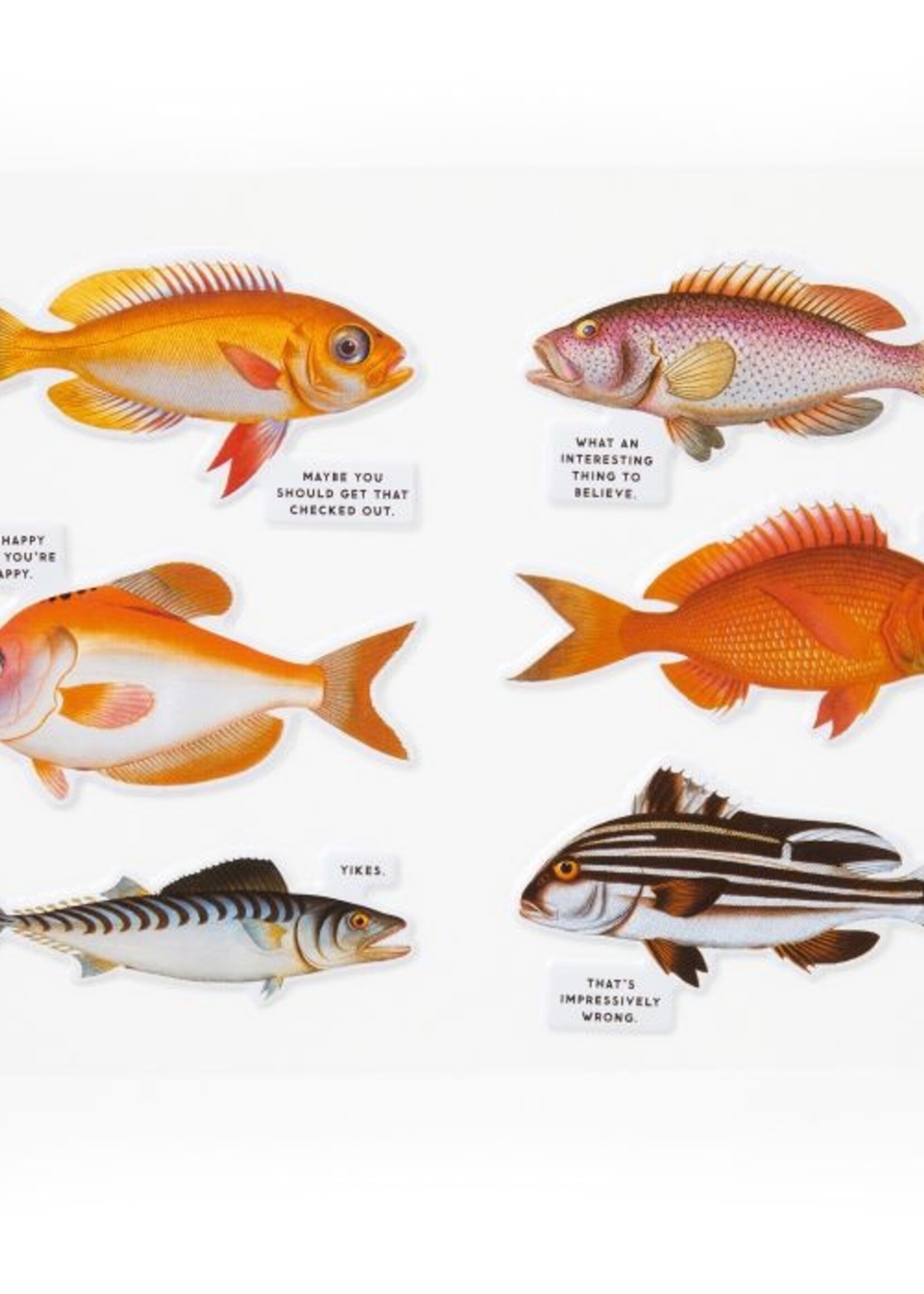 Isalbi Judgy Fish Puzzle 1000pc