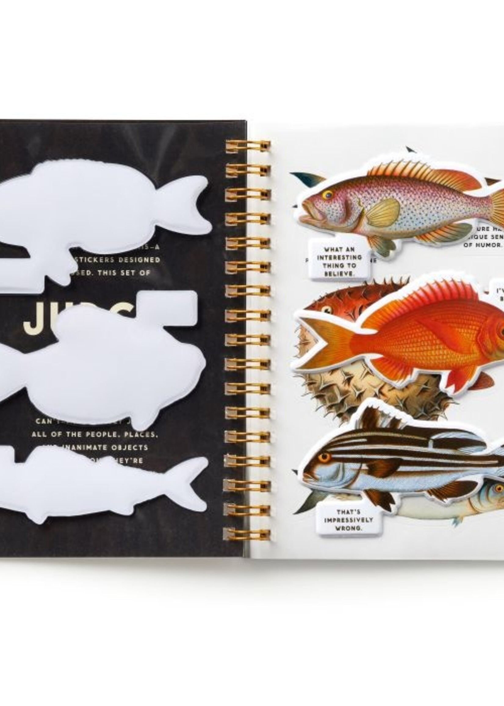 Judgy Fish Sticker Book
