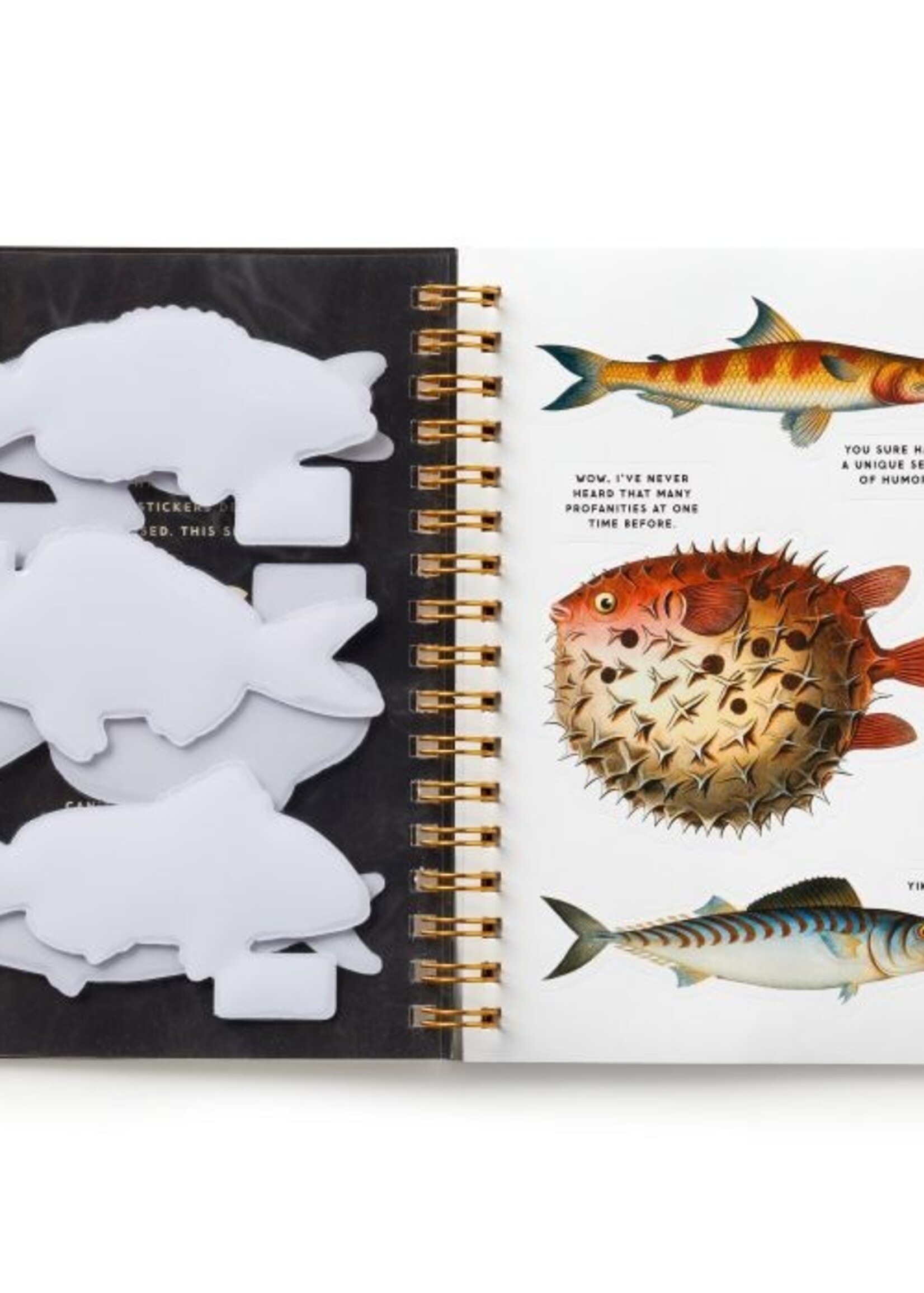 Isalbi Judgy Fish Sticker Book