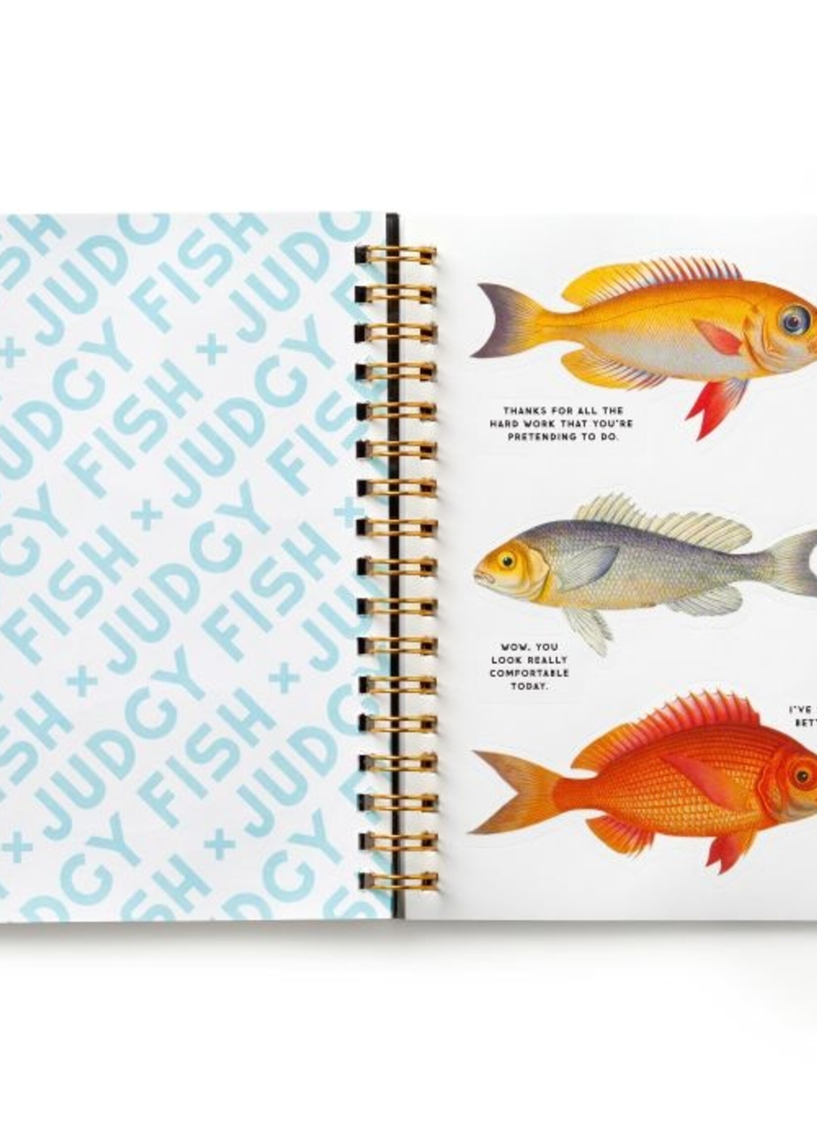 Judgy Fish Sticker Book