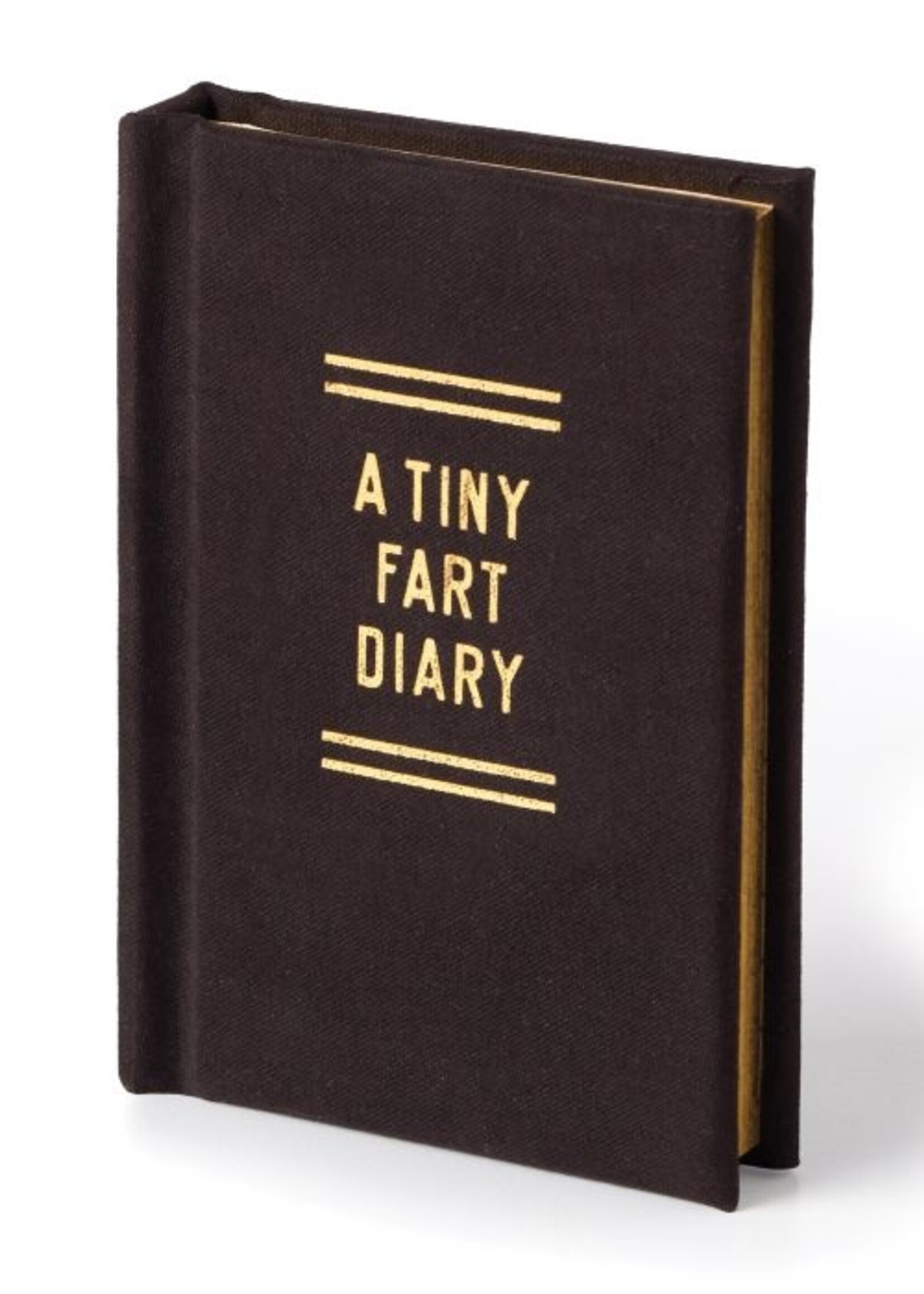 A Tiny Fart Diary