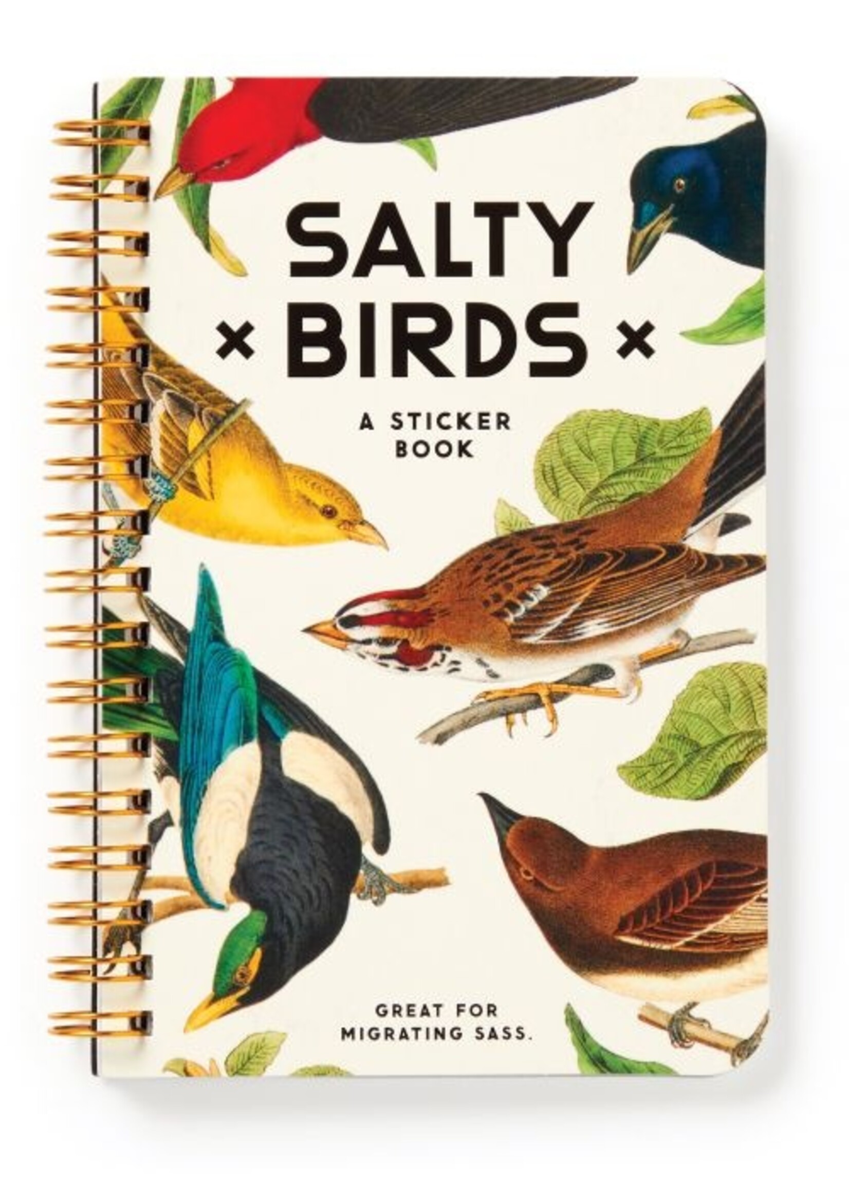 Isalbi Salty Birds Sticker Book