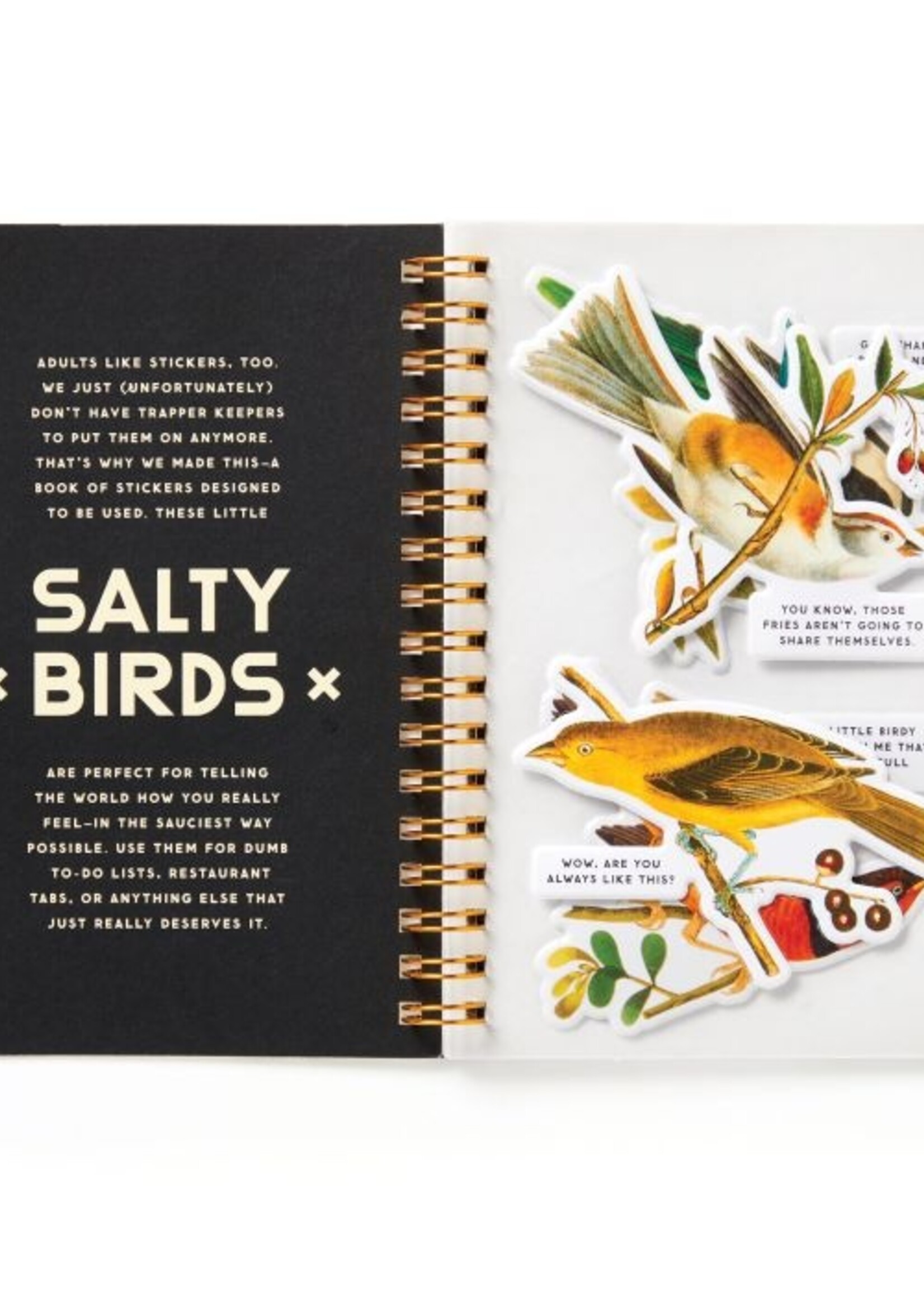 Isalbi Salty Birds Sticker Book