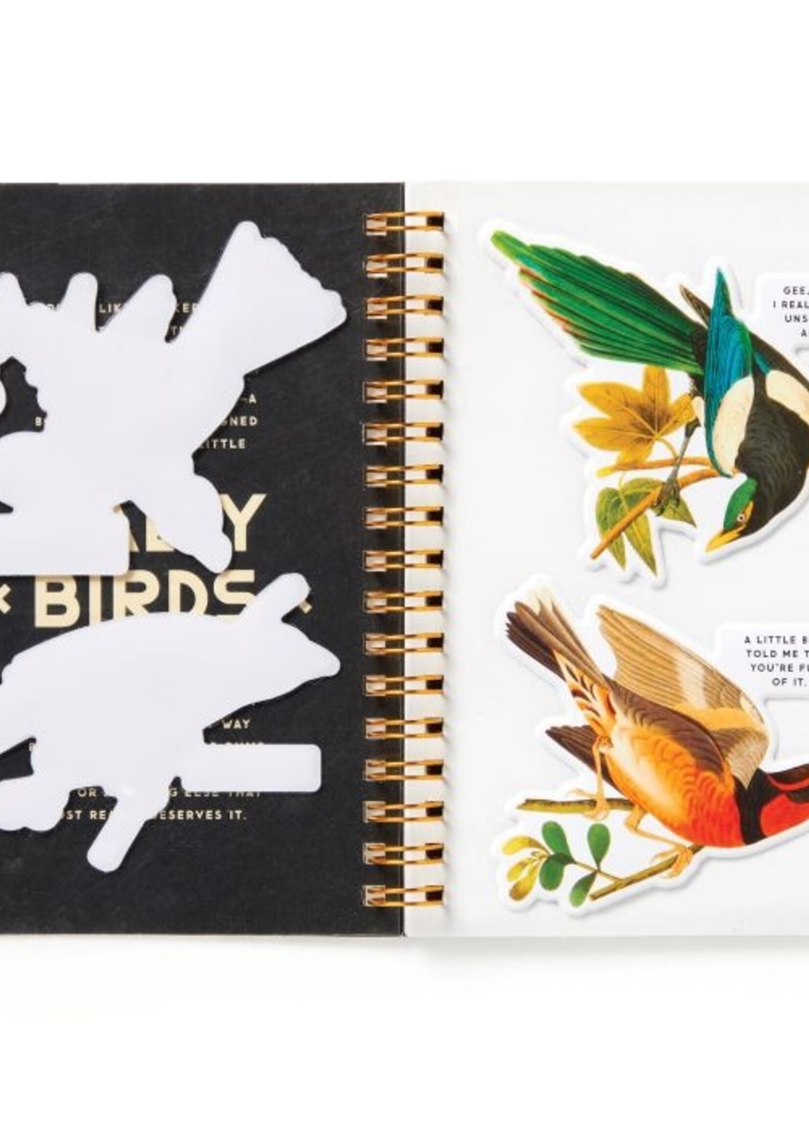 Isalbi Salty Birds Sticker Book