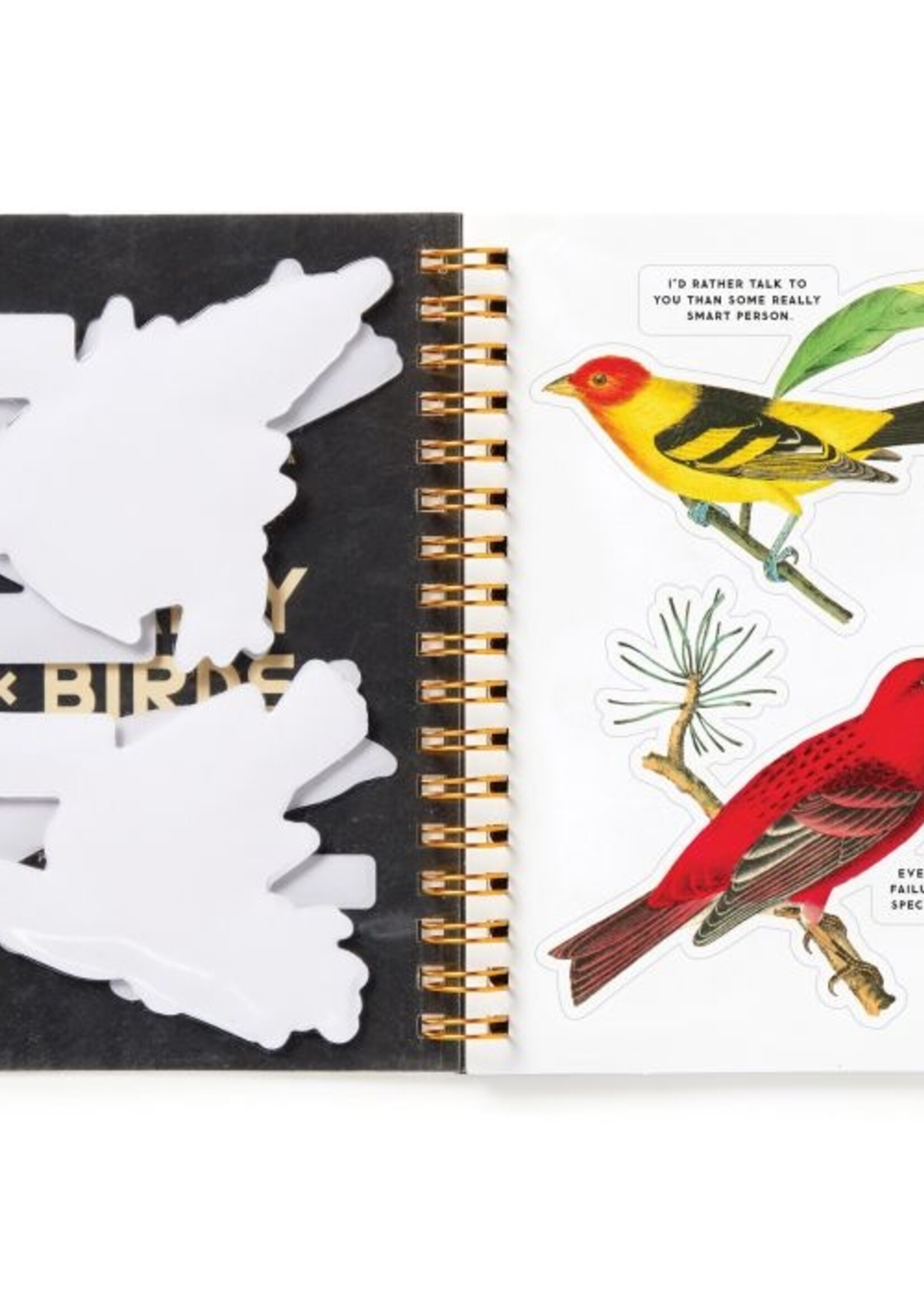 Isalbi Salty Birds Sticker Book