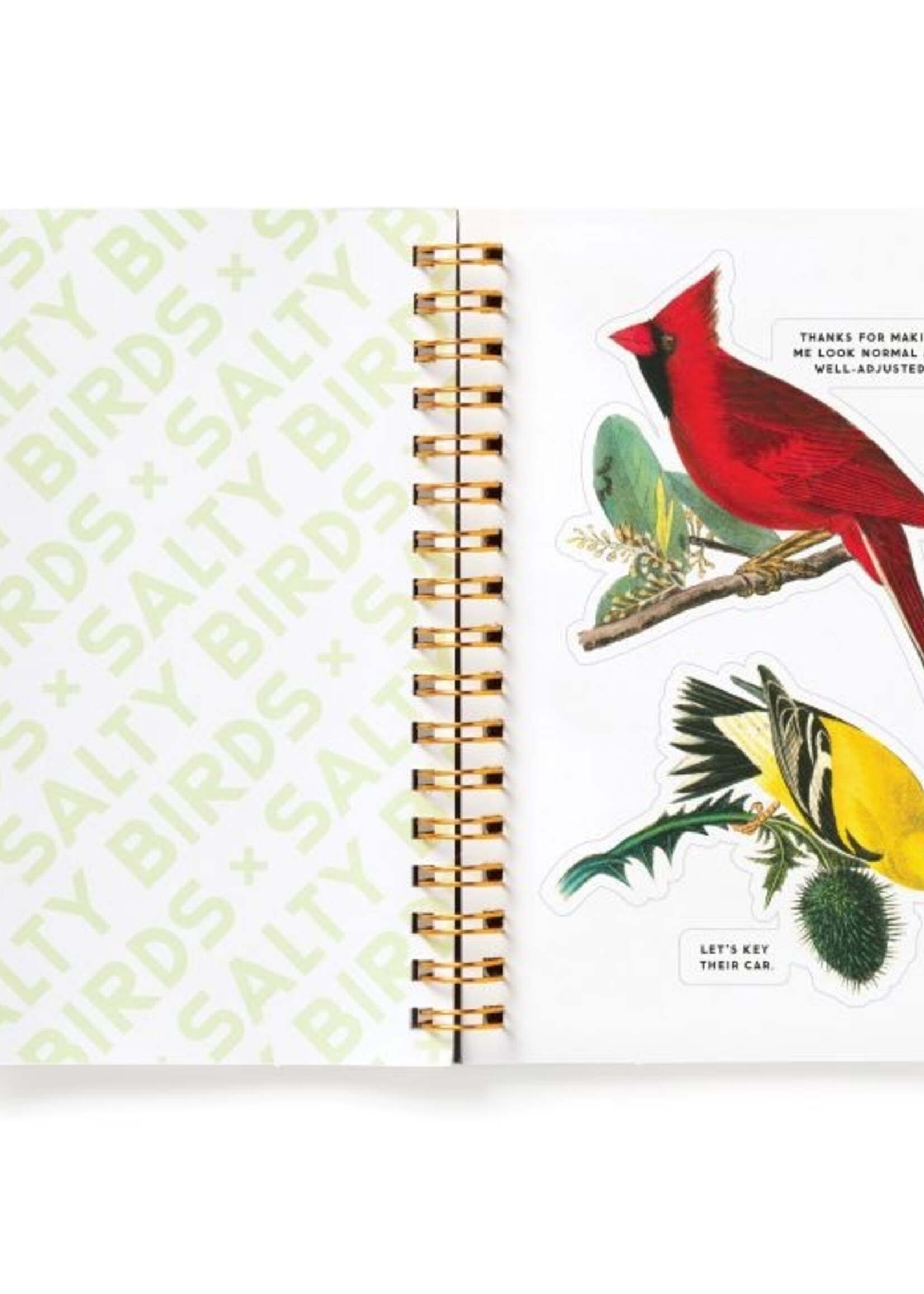 Isalbi Salty Birds Sticker Book