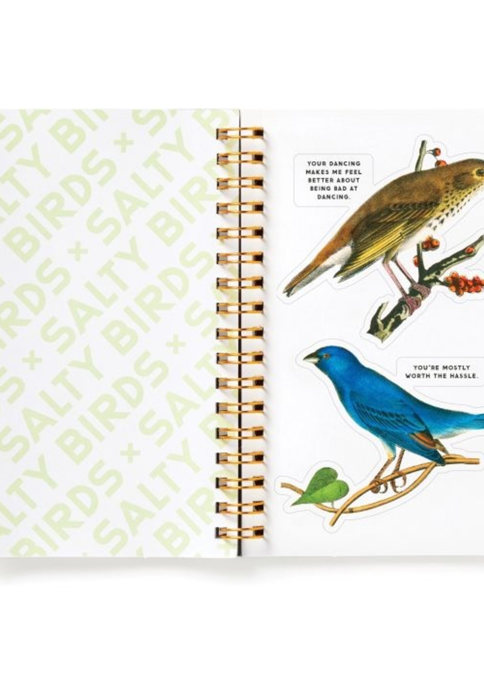 Isalbi Salty Birds Sticker Book