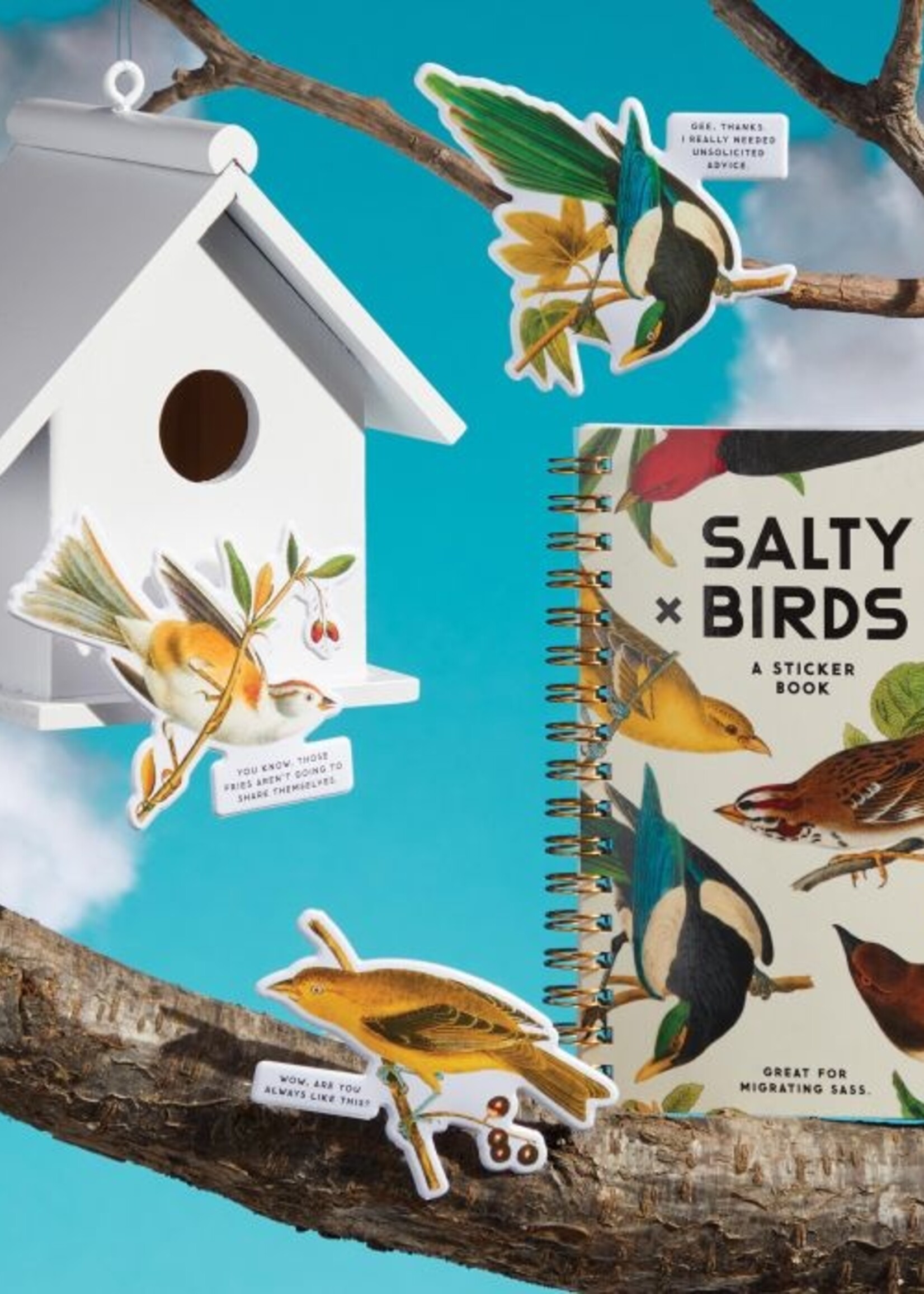Isalbi Salty Birds Sticker Book