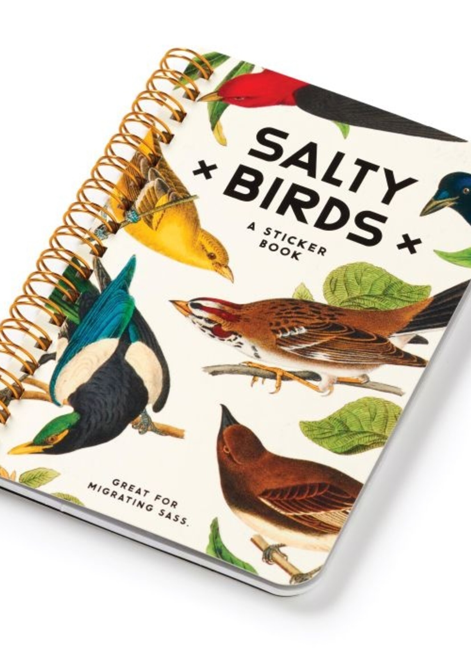 Isalbi Salty Birds Sticker Book