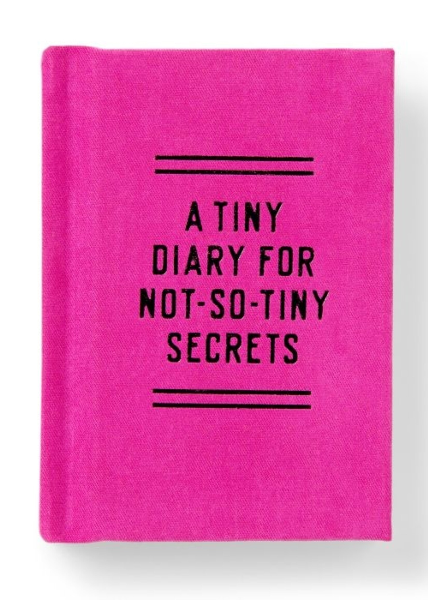 Tiny Diary For Not So Tiny Secrets