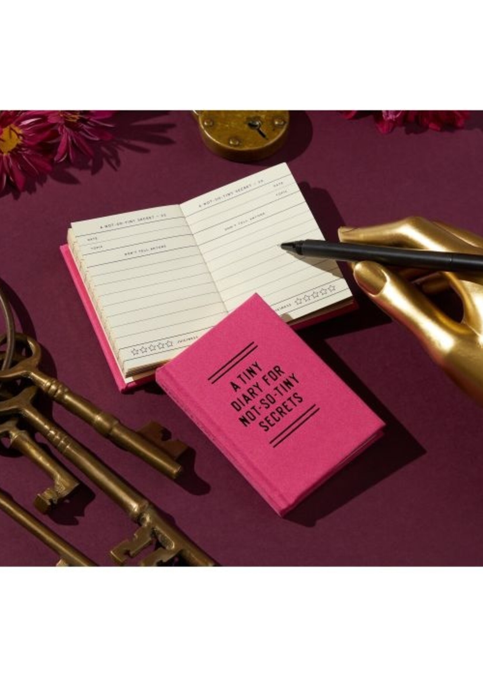 Tiny Diary For Not So Tiny Secrets