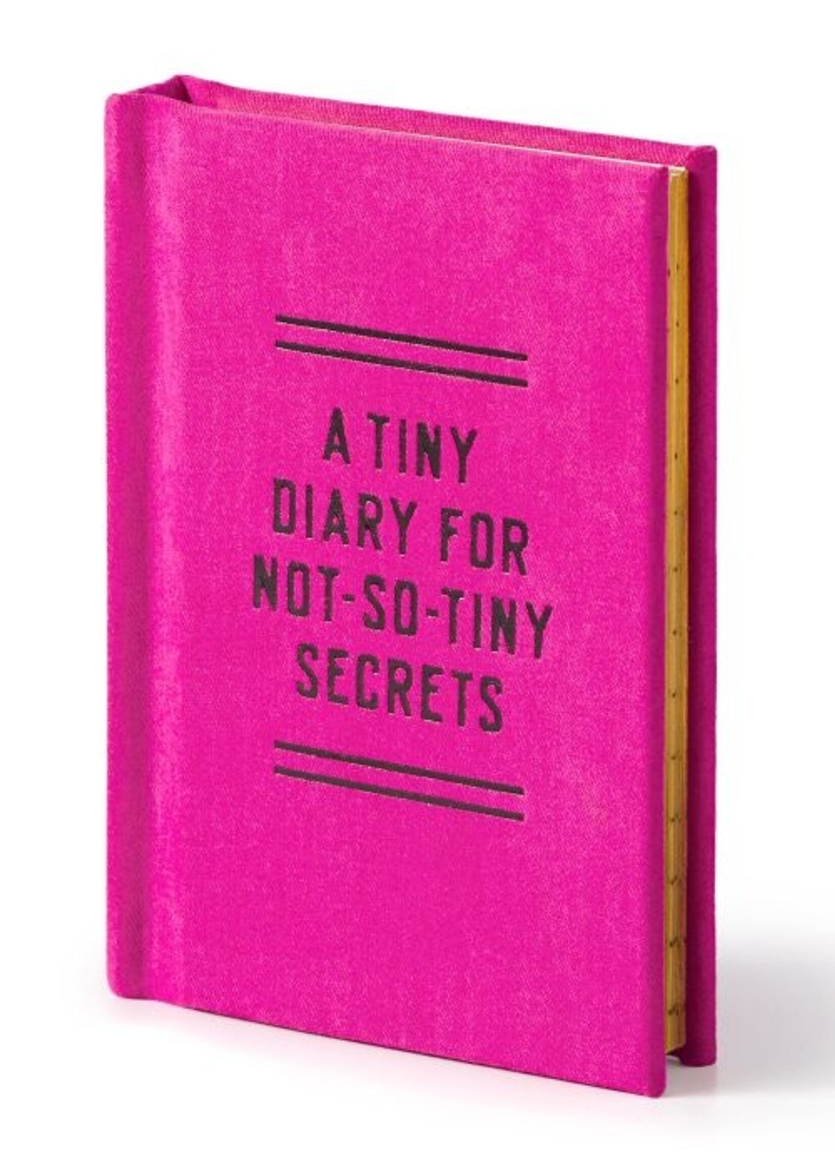 Tiny Diary For Not So Tiny Secrets