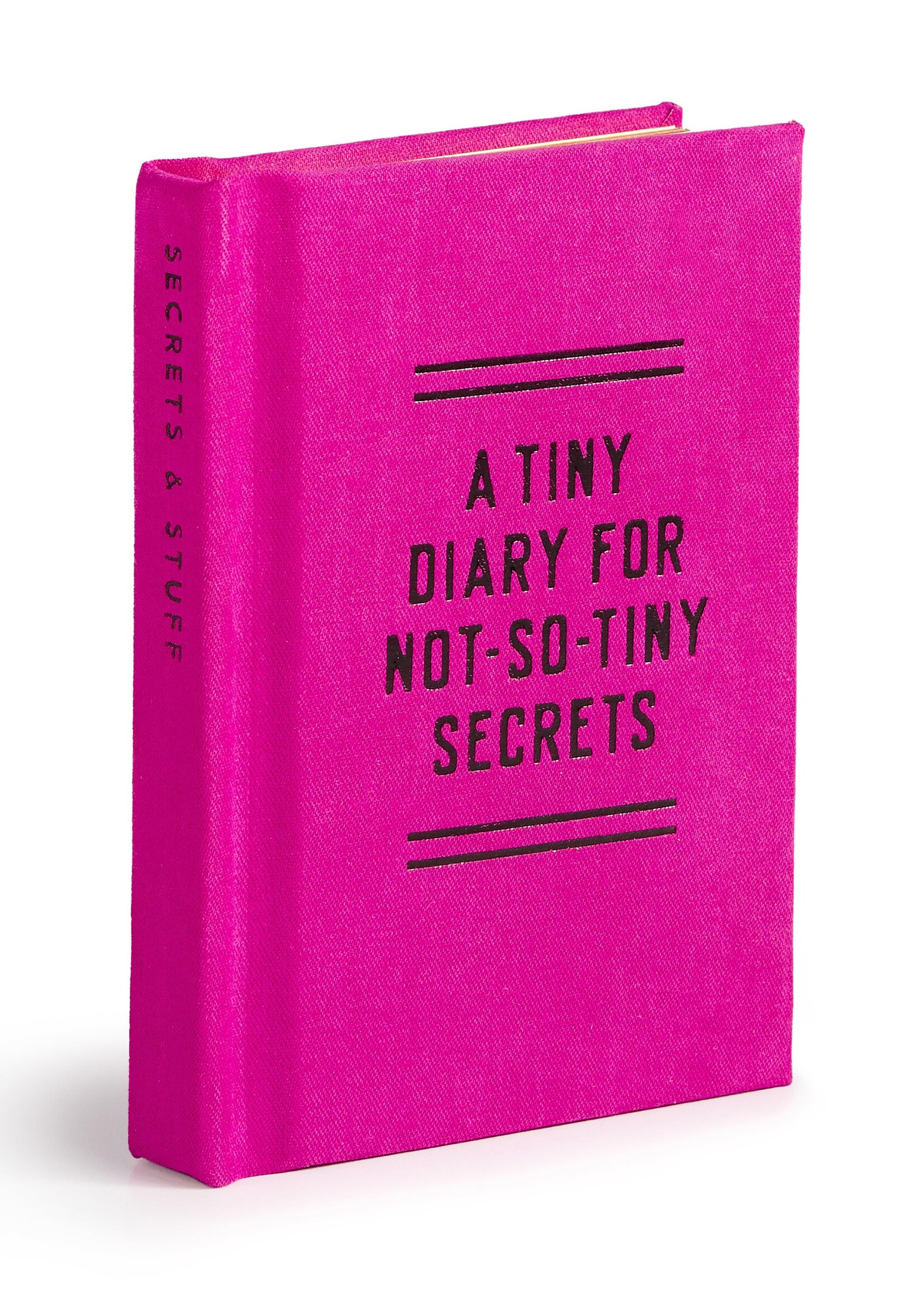 Tiny Diary For Not So Tiny Secrets
