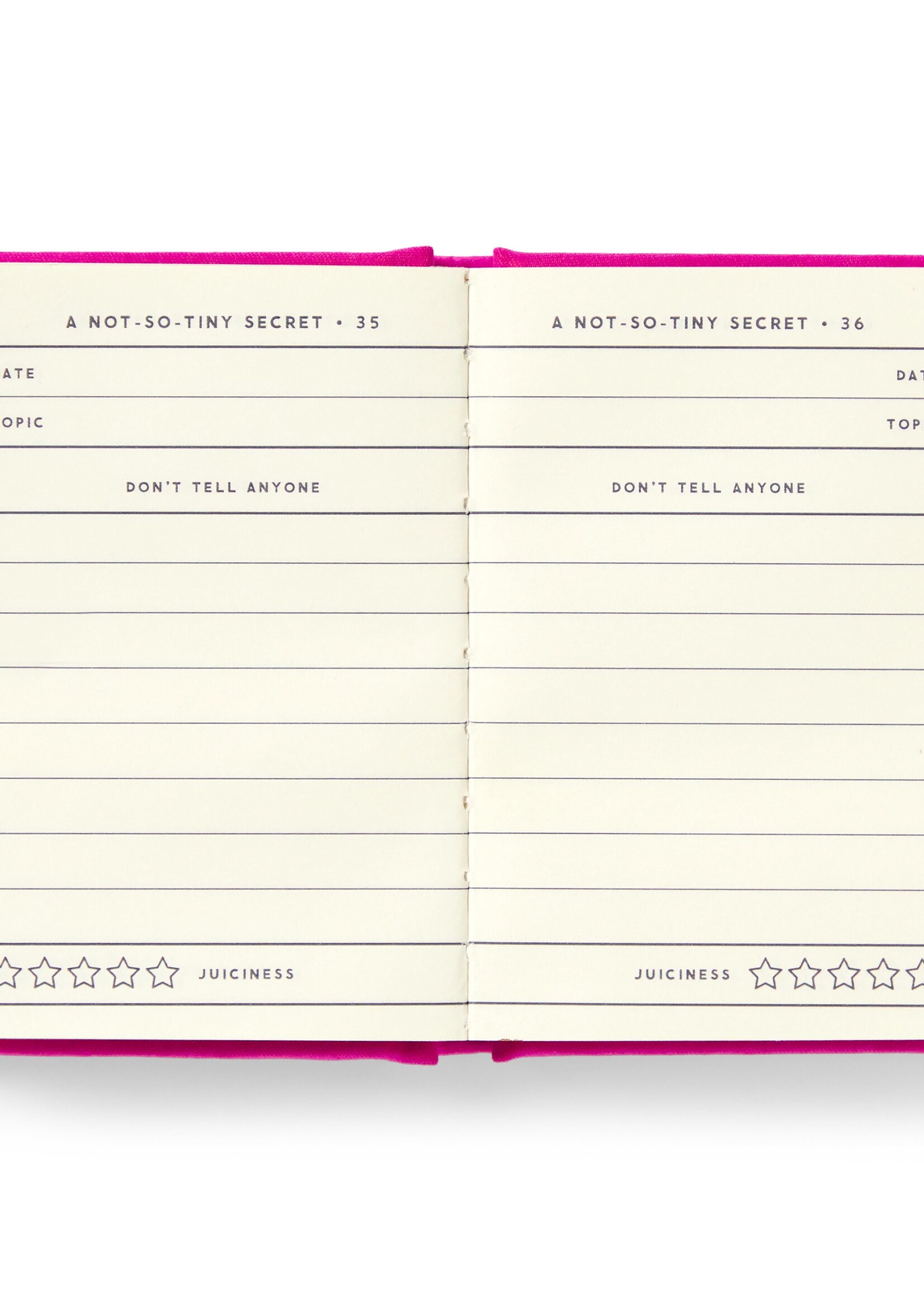 Tiny Diary For Not So Tiny Secrets