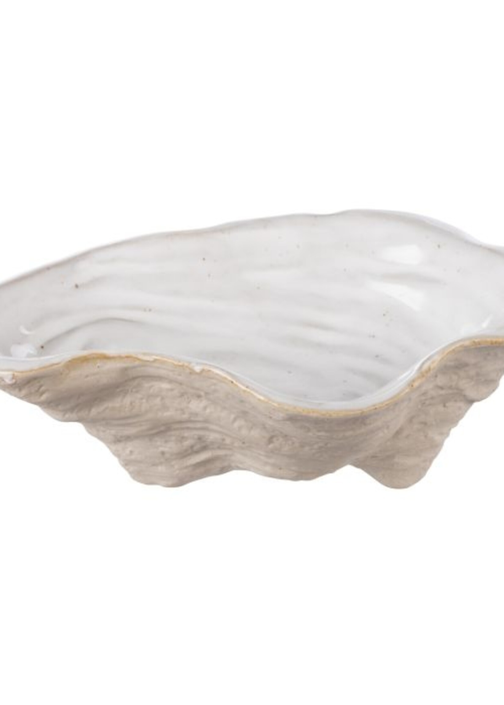 Baylor Shell Plate - Small
