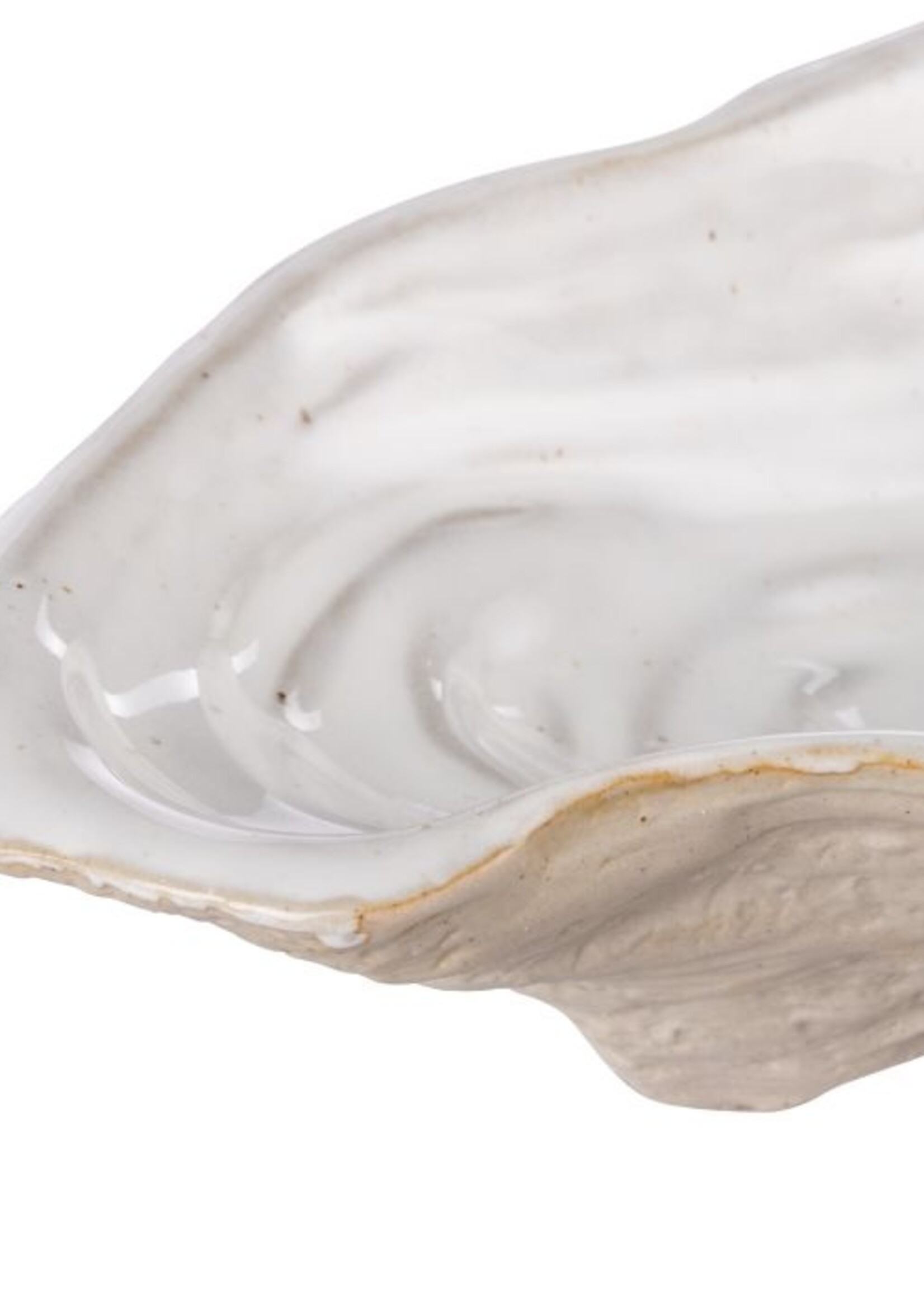 Baylor Shell Plate - Small