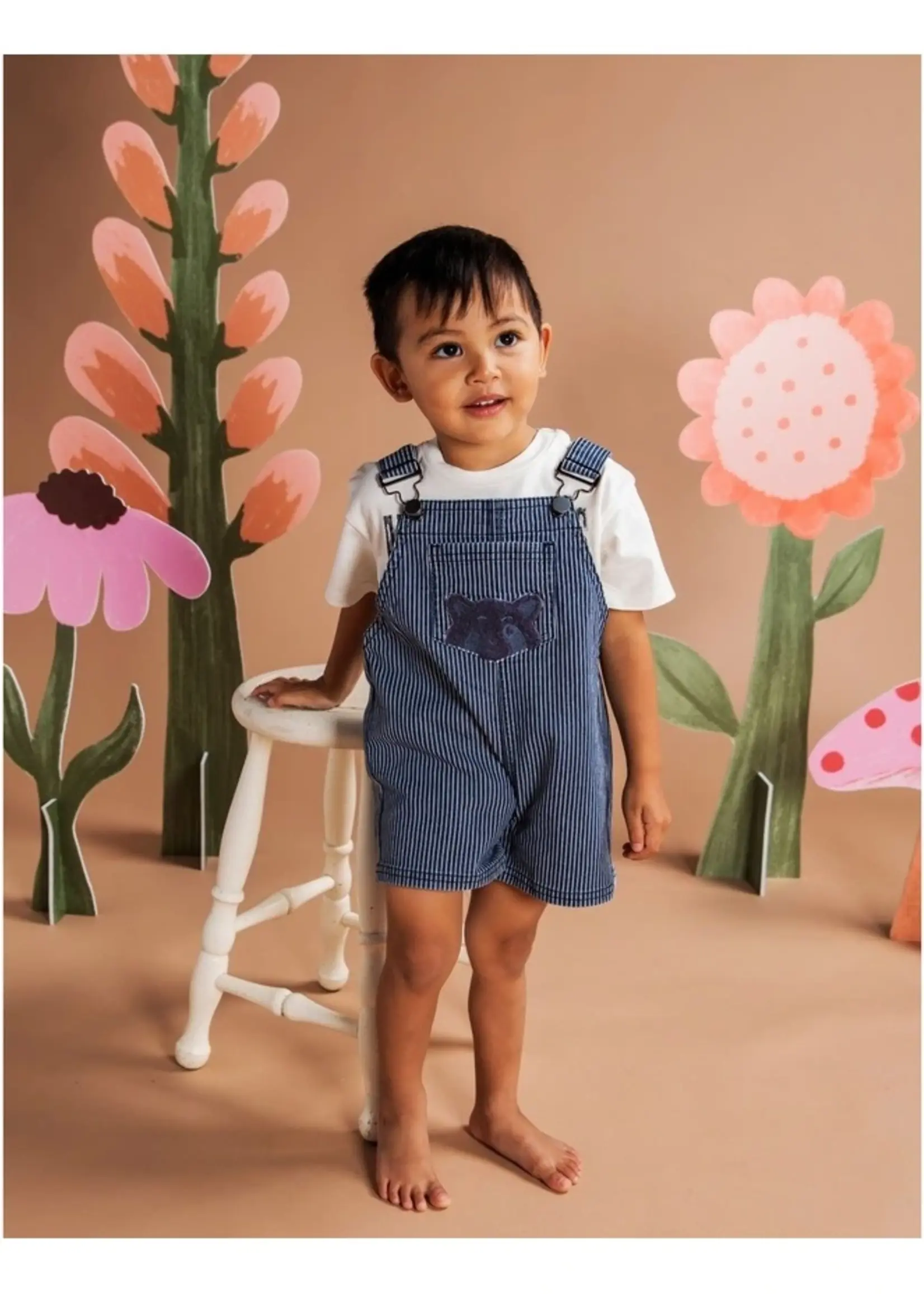 Animal Crackers Vertical Overalls