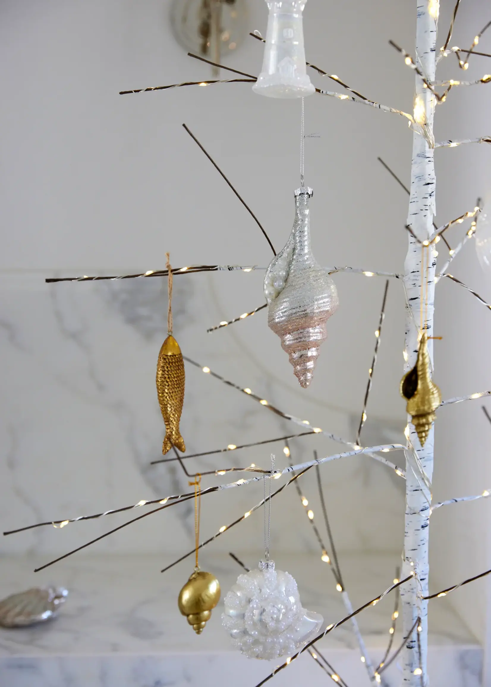 High Shine Coil Shell With Pearls