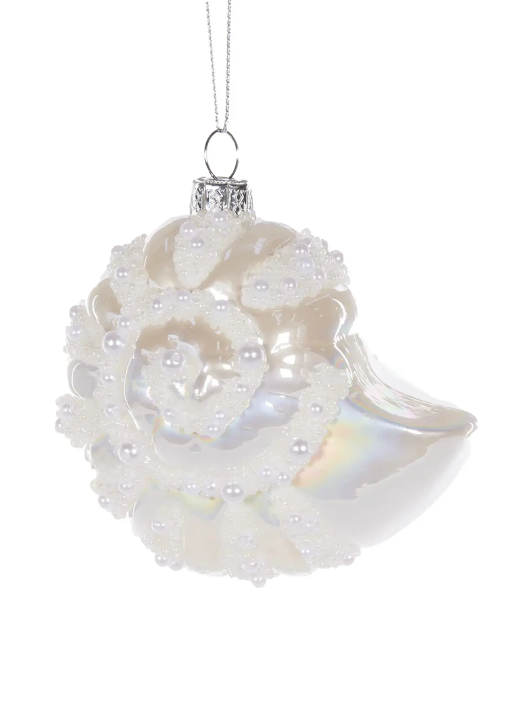 High Shine Coil Shell With Pearls