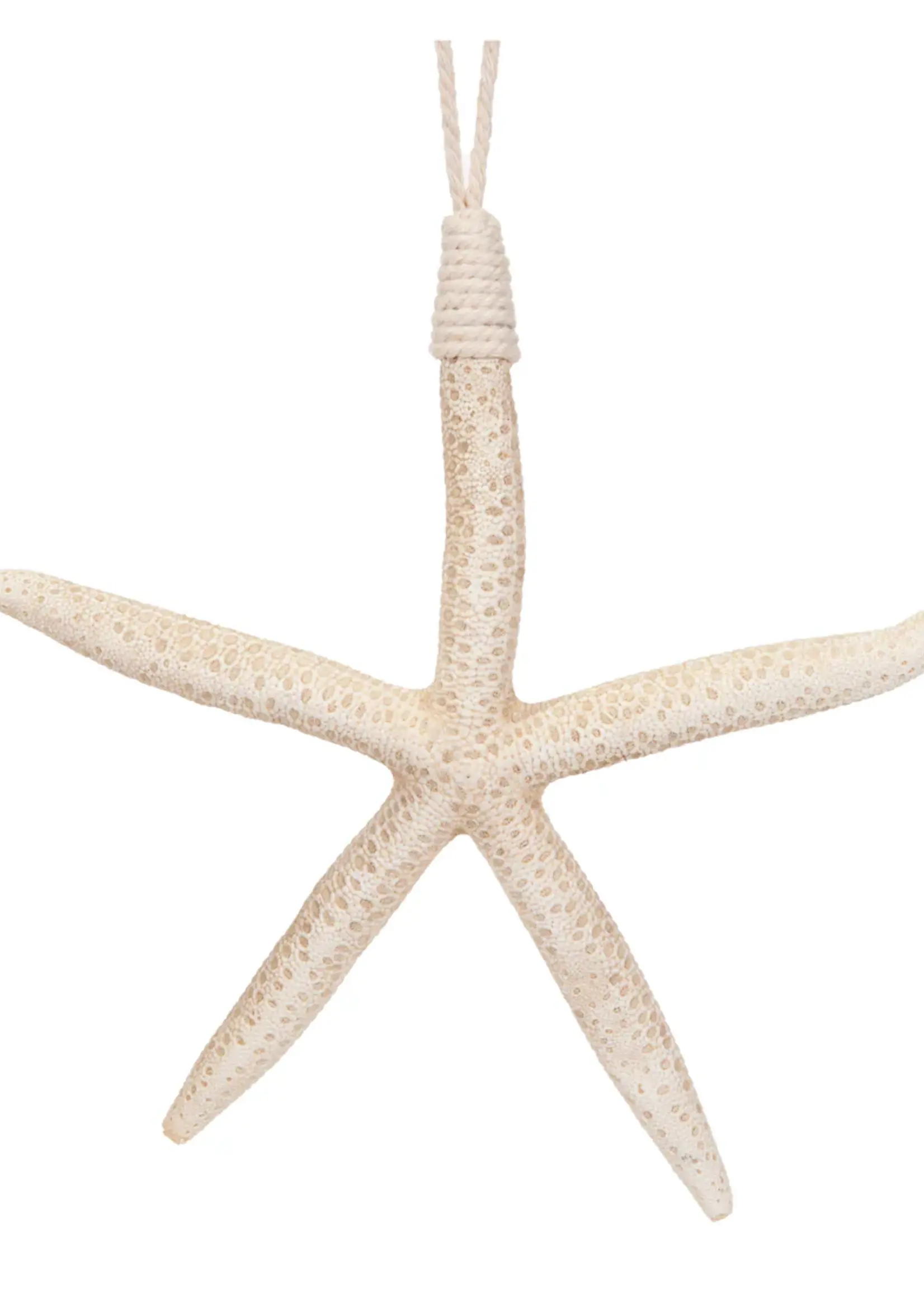 Hanging Starfish Ornament