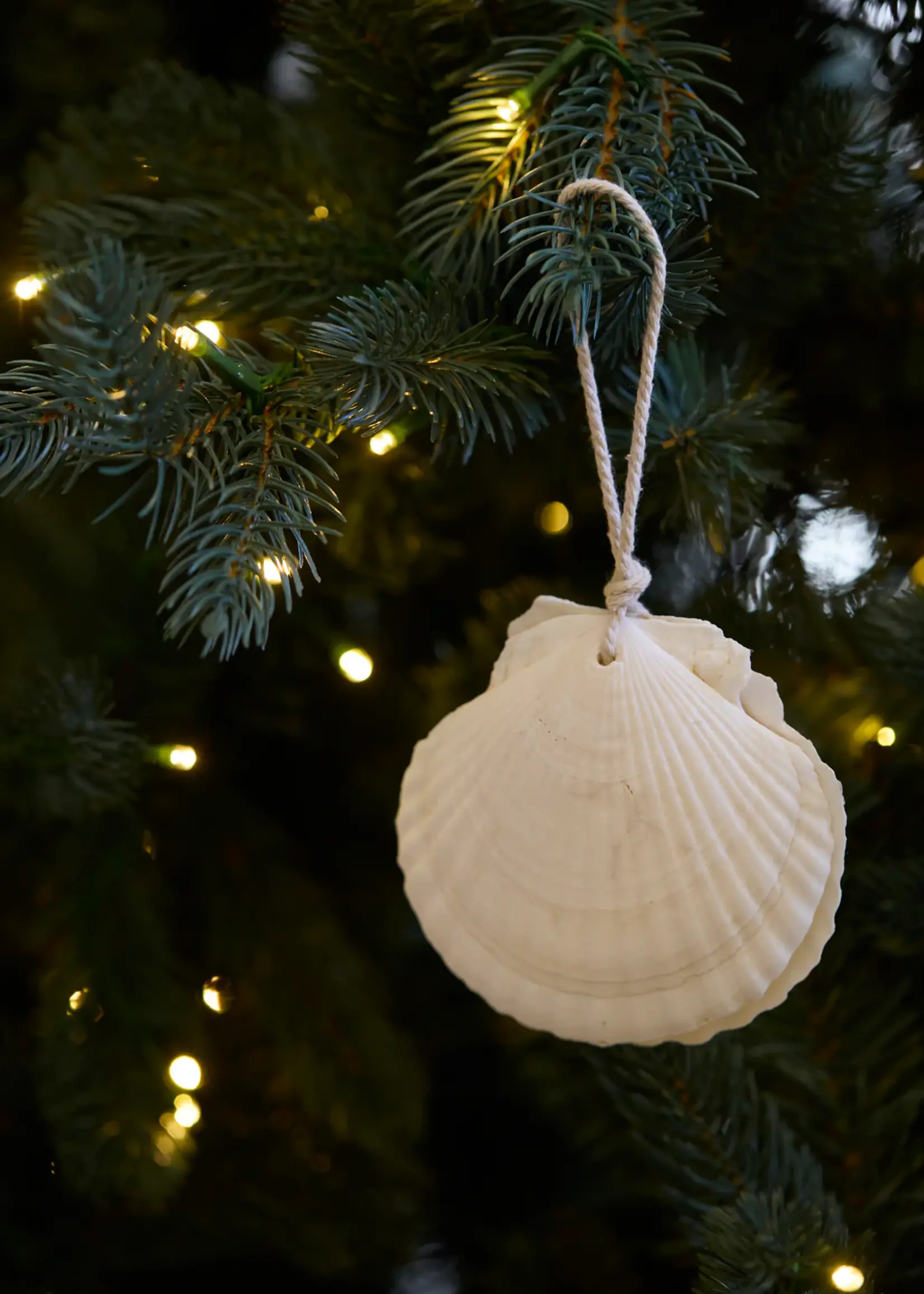Holly and Ivy Hanging Clam Ornament