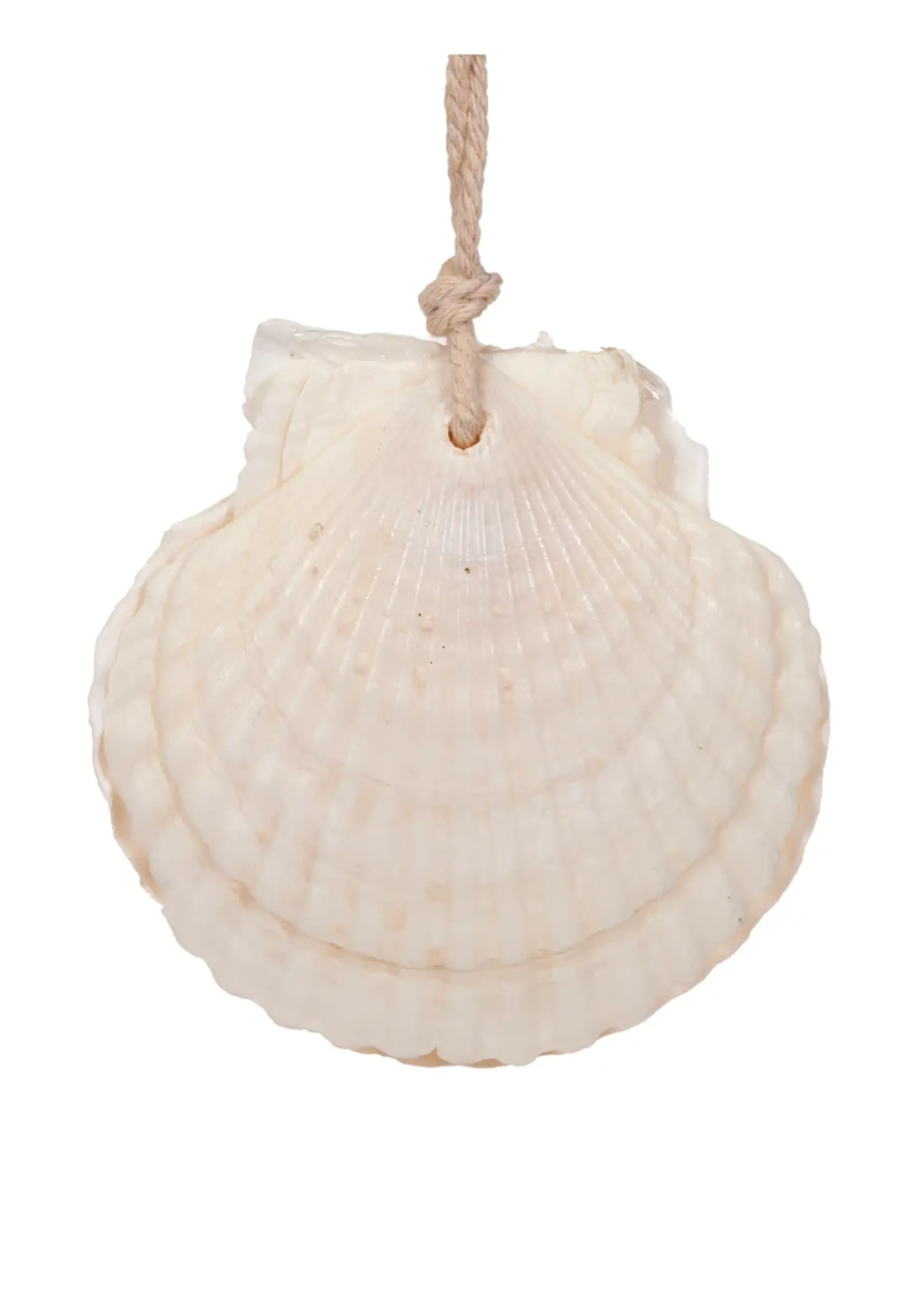 Holly and Ivy Hanging Clam Ornament