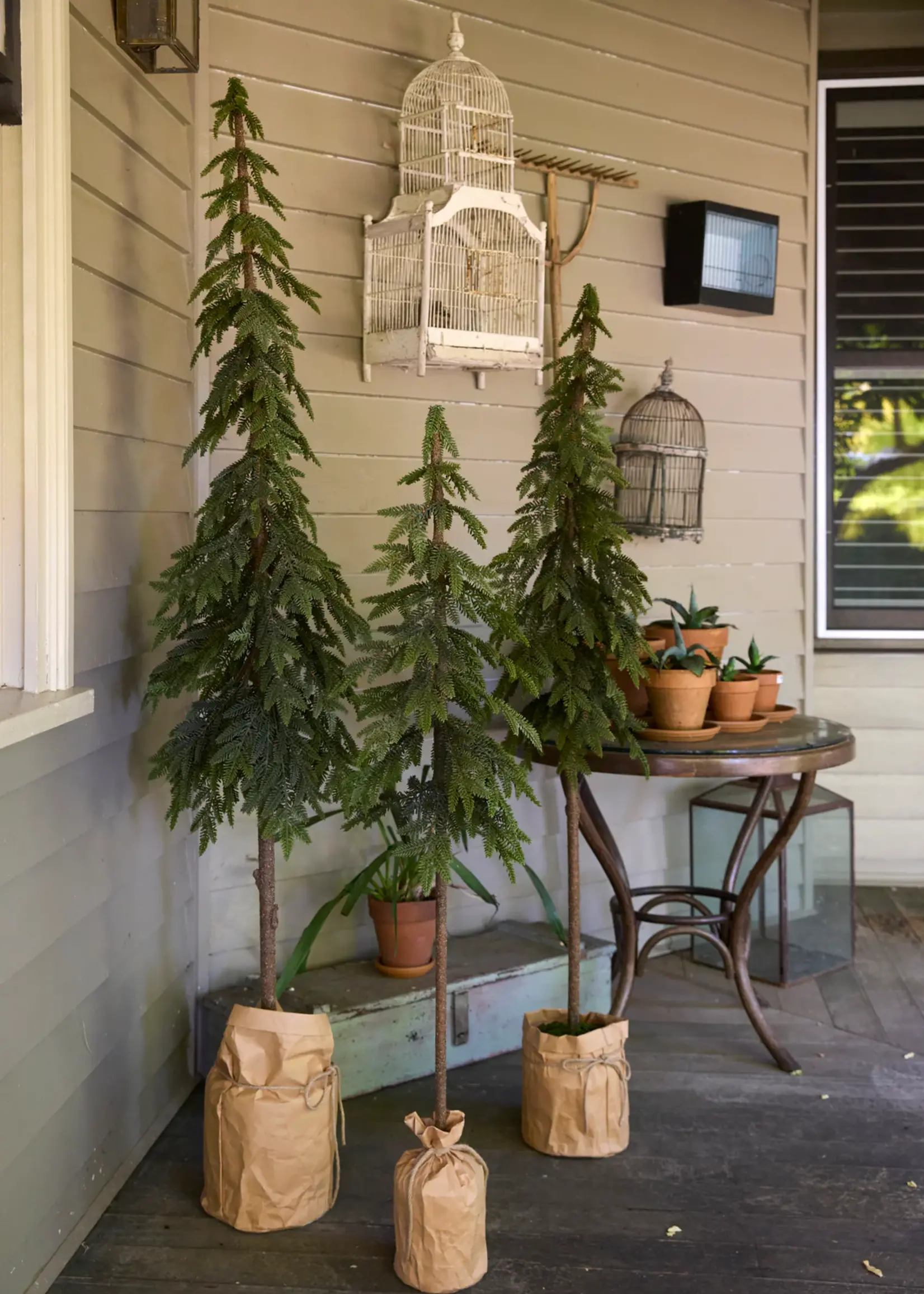 Holly and Ivy 173 Cm Potted Nordic Pine Tree