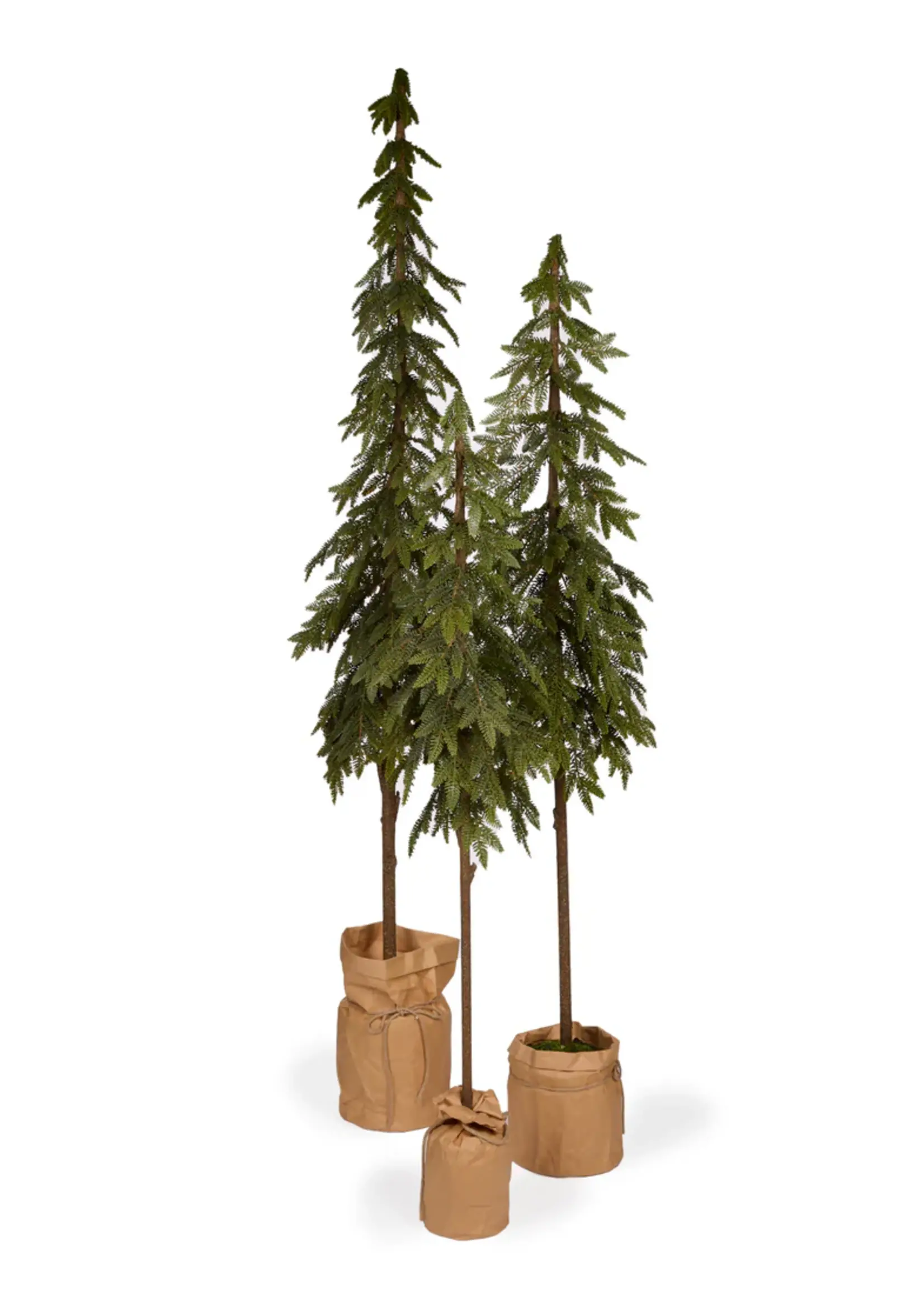 Holly and Ivy 173 Cm Potted Nordic Pine Tree