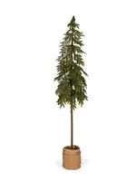 Holly and Ivy 173 Cm Potted Nordic Pine Tree