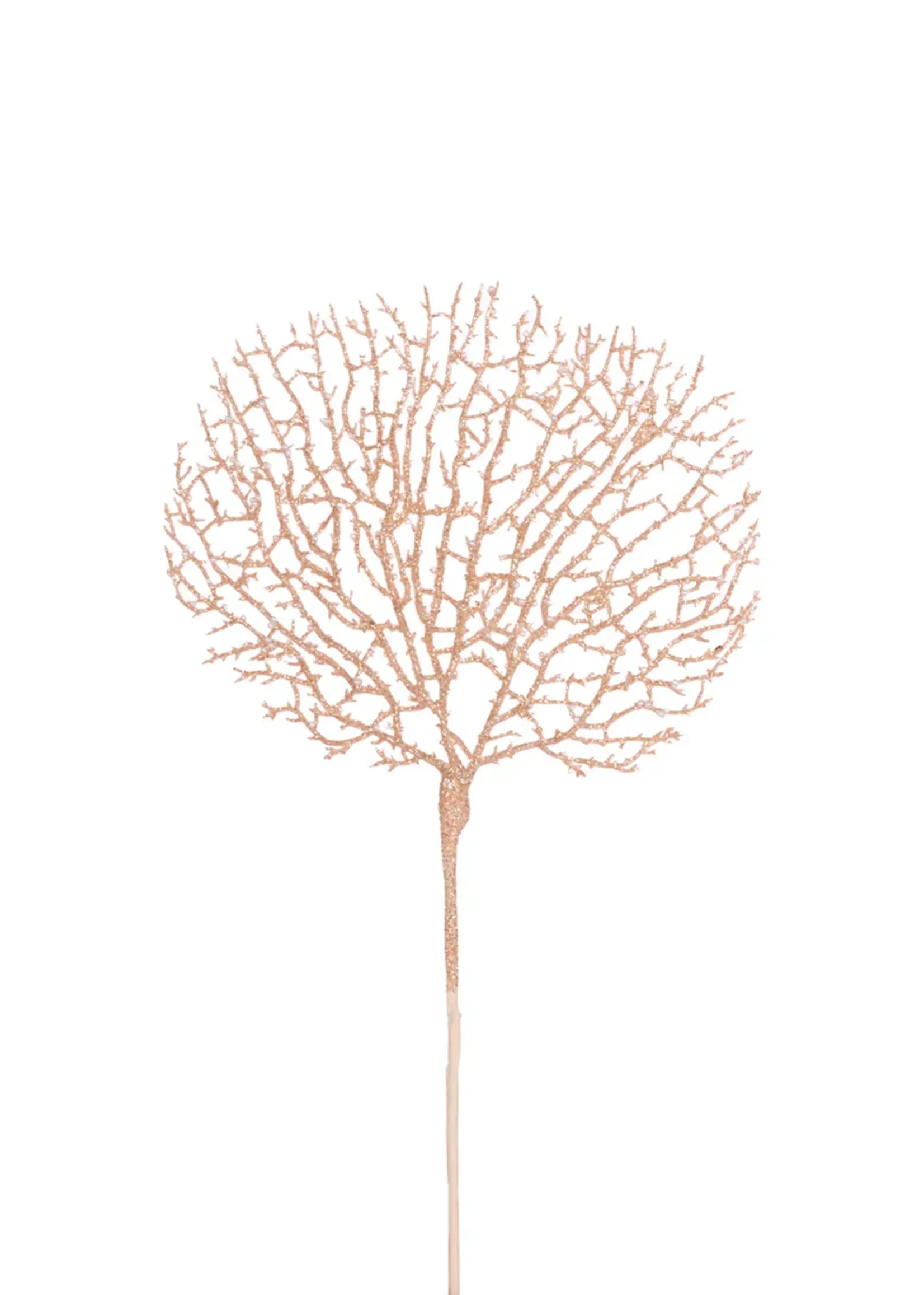 Holly and Ivy Coral Sea Fan Pick