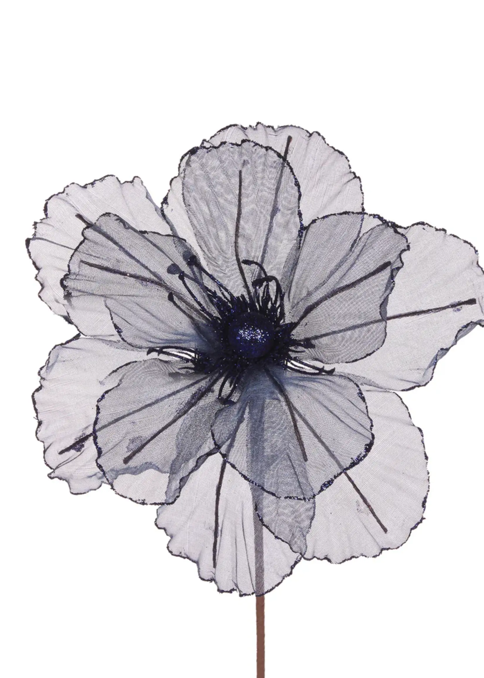 Holly and Ivy Sheer Midnight Blue Camellia